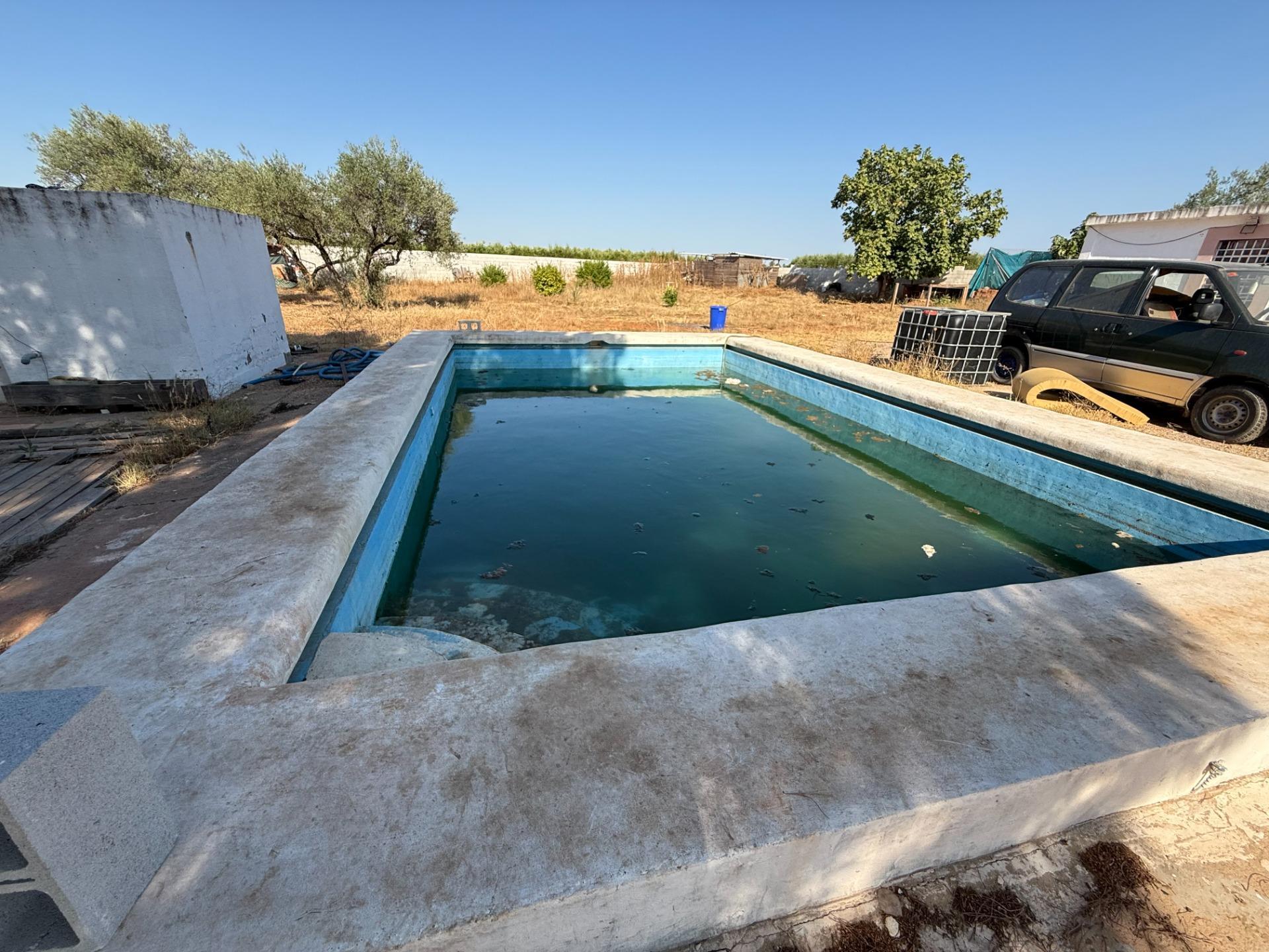 Fincas y solares-Venta-Carmona-1831436-Foto-7