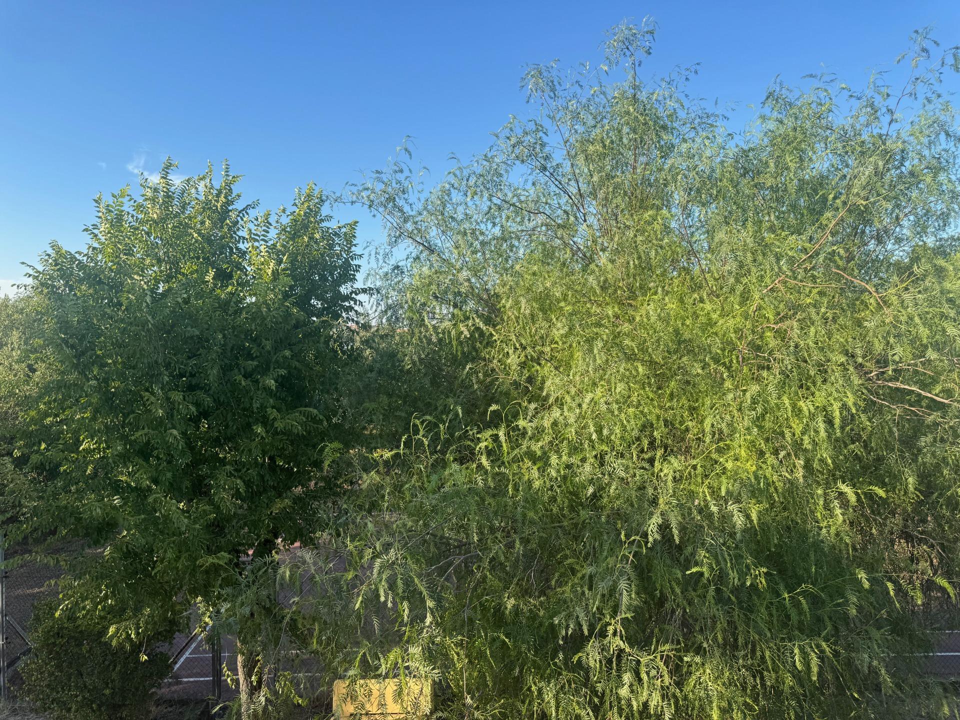 Casas o chalets-Venta-Palomares del RÃ­o-1831451-Foto-40