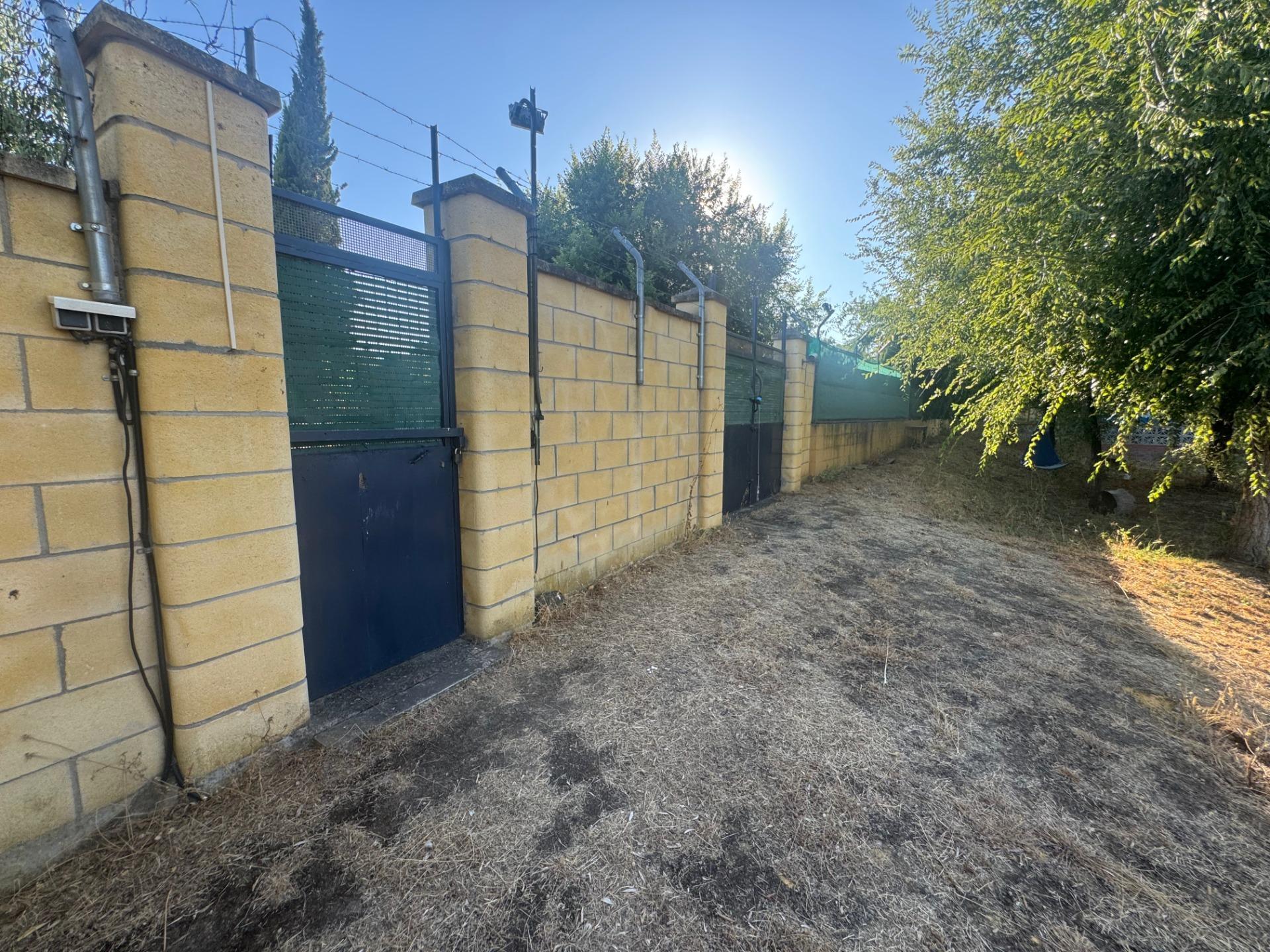 Casas o chalets-Venta-Palomares del RÃ­o-1831451-Foto-50