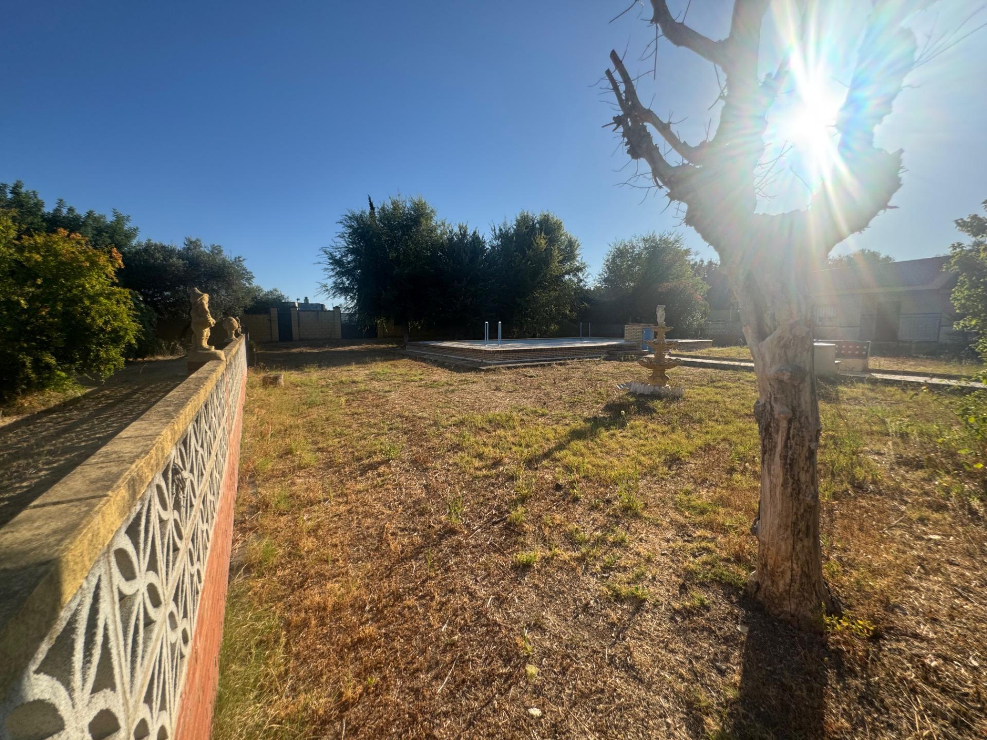 Casas o chalets-Venta-Palomares del RÃ­o-1831451-Foto-56