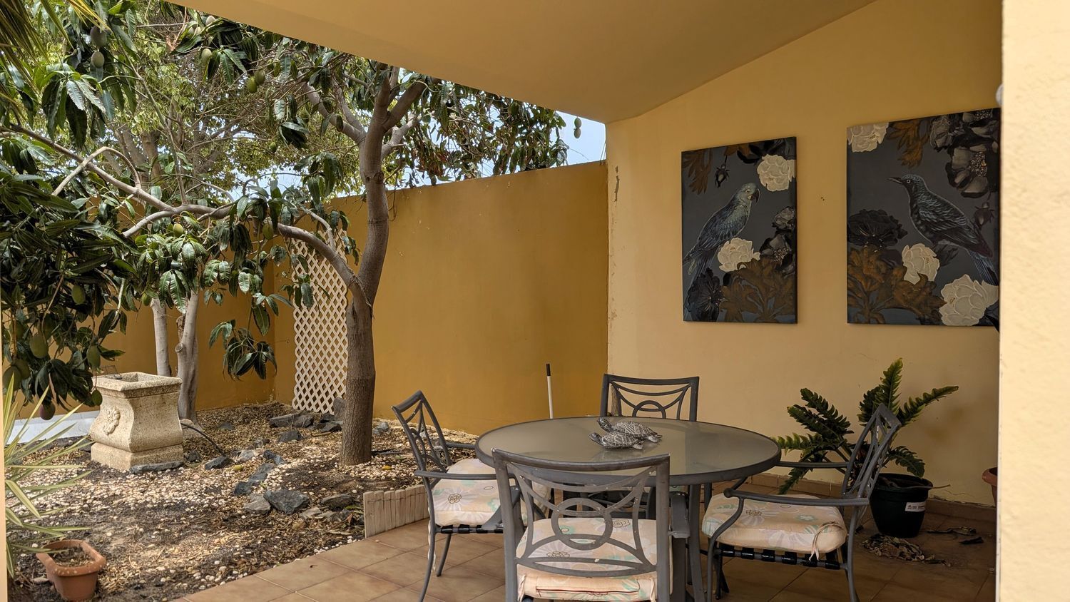 Casas o chalets-Venta-Tuineje-2091827-Foto-3