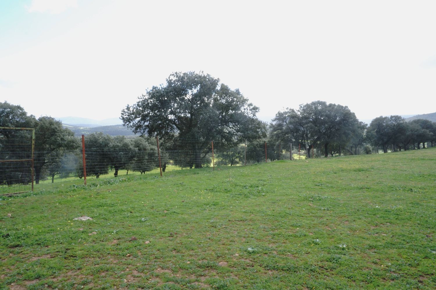 Fincas y solares-Venta-Almadenejos-1071020-Foto-6