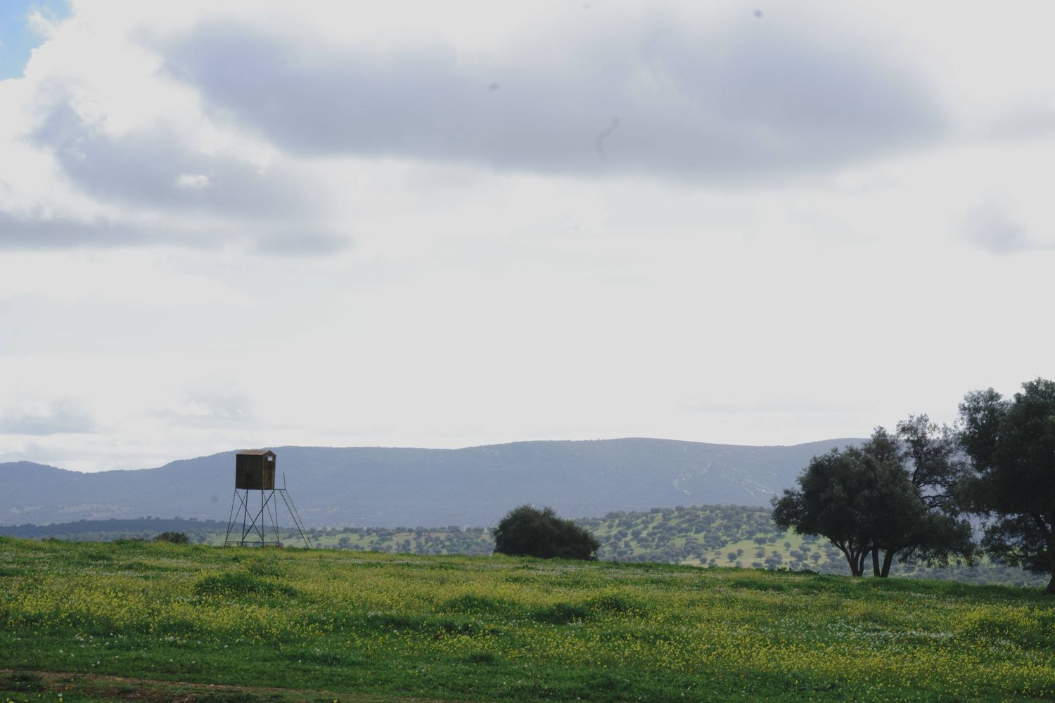 Fincas y solares-Venta-Almadenejos-1071020-Foto-7