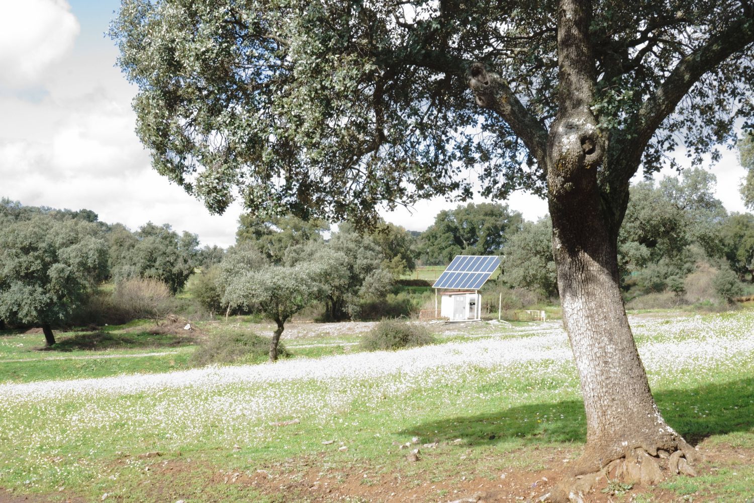 Fincas y solares-Venta-Almadenejos-1071020-Foto-15