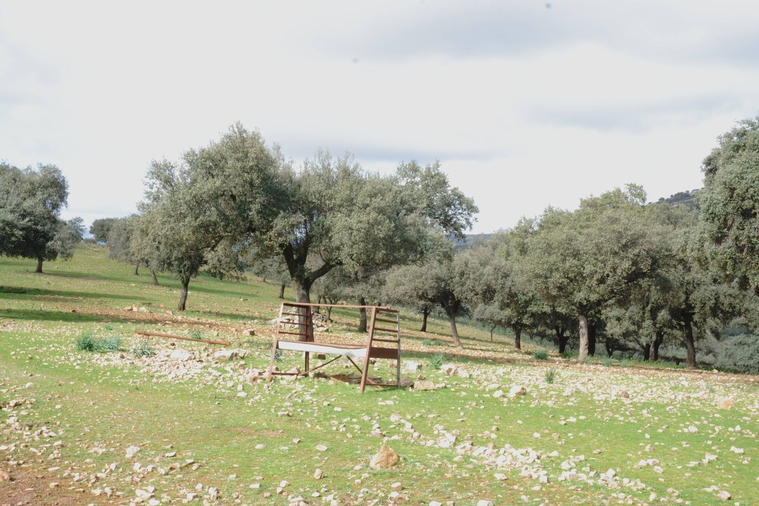 Fincas y solares-Venta-Almadenejos-1071020-Foto-26