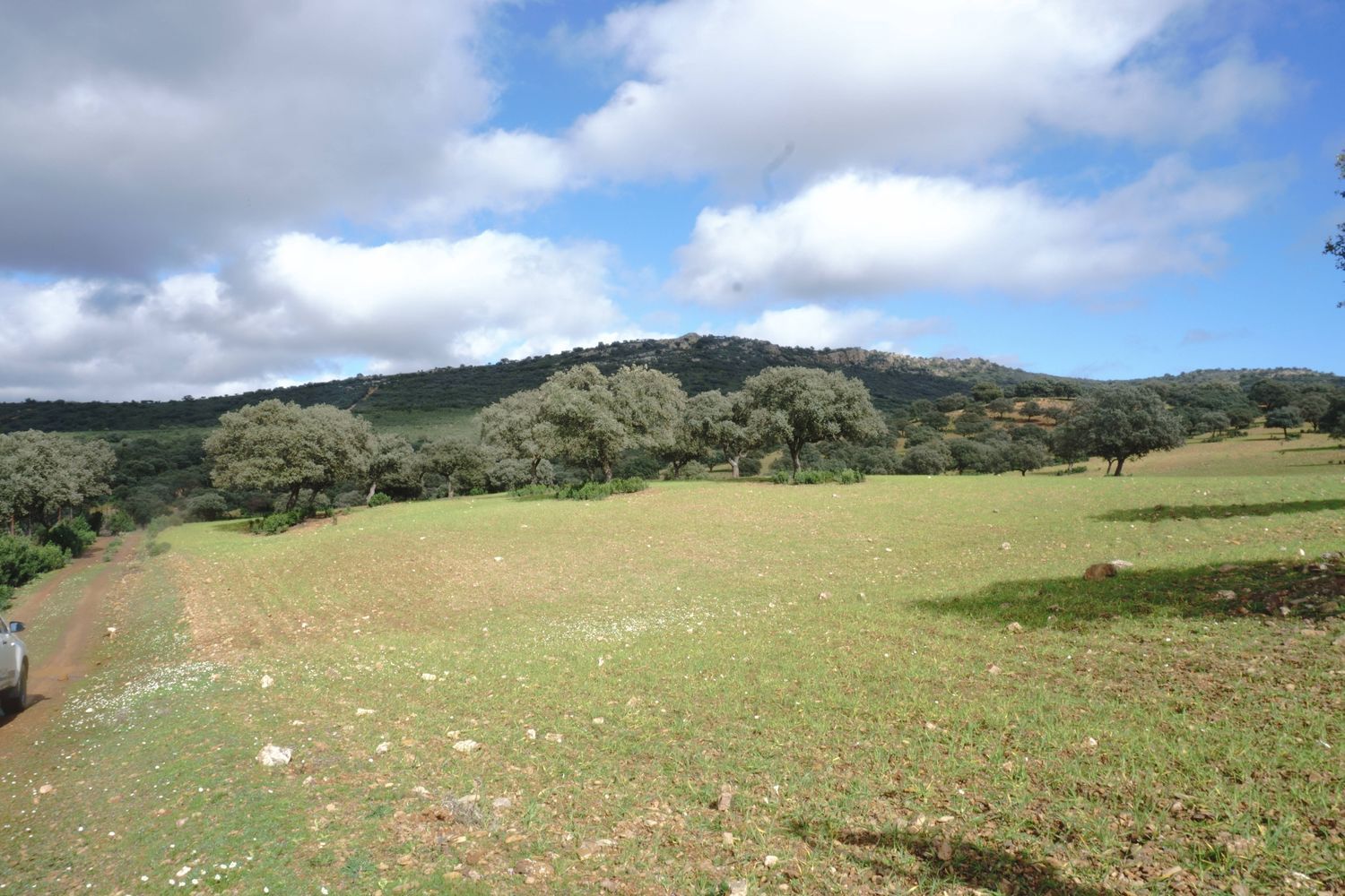 Fincas y solares-Venta-Almadenejos-1071020-Foto-29