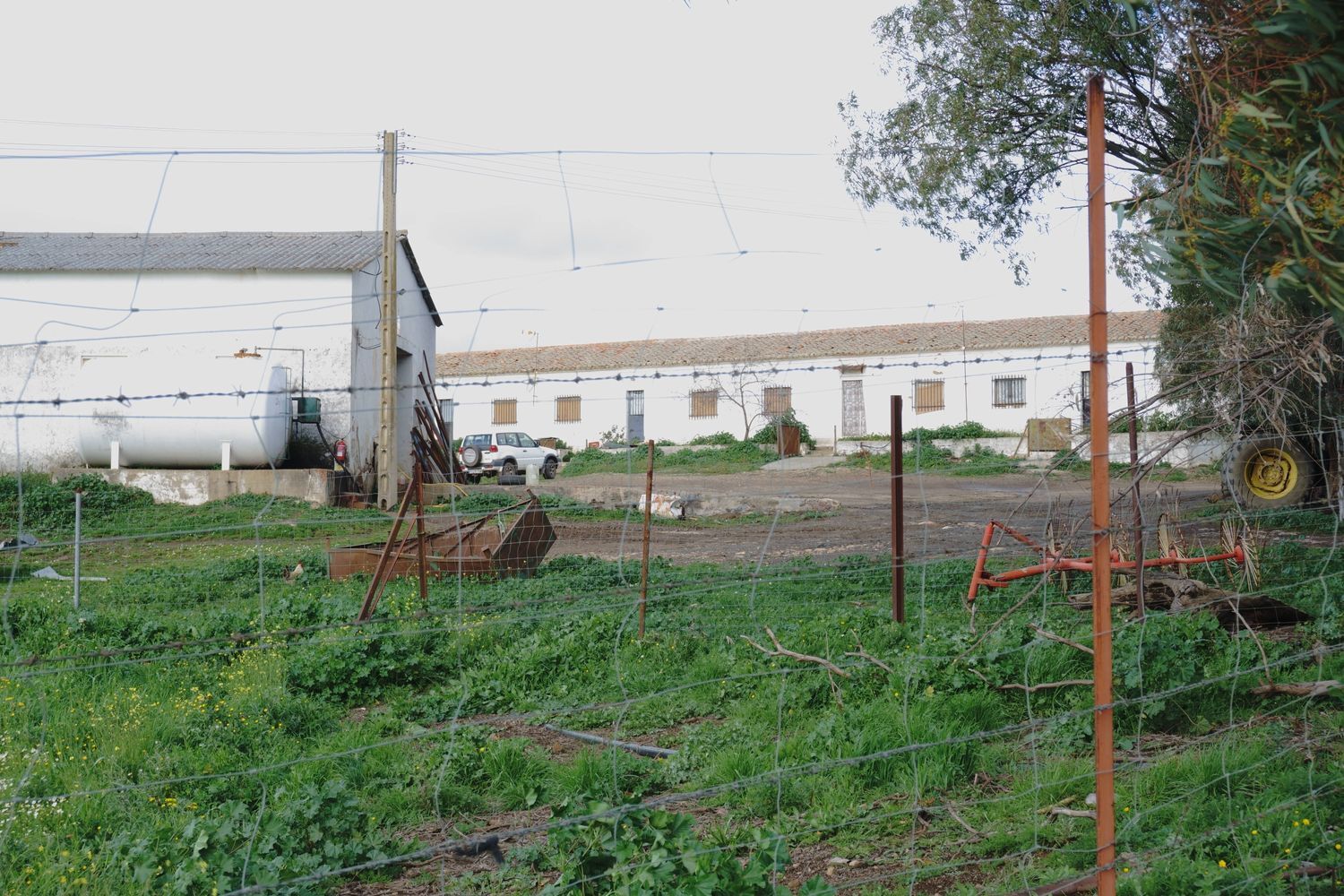 Fincas y solares-Venta-Almadenejos-1071020-Foto-35