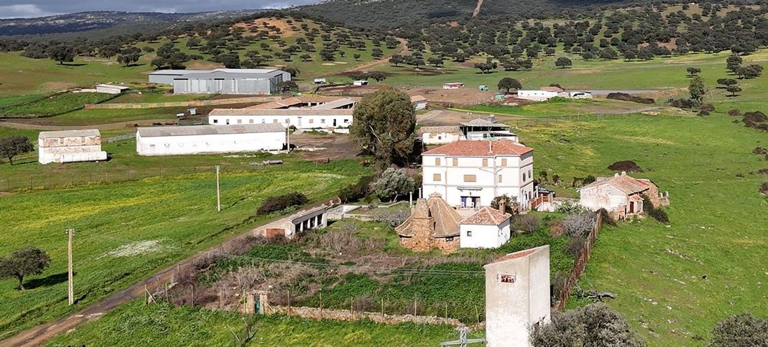 Fincas y solares-Venta-Almadenejos-1071020-Foto-39