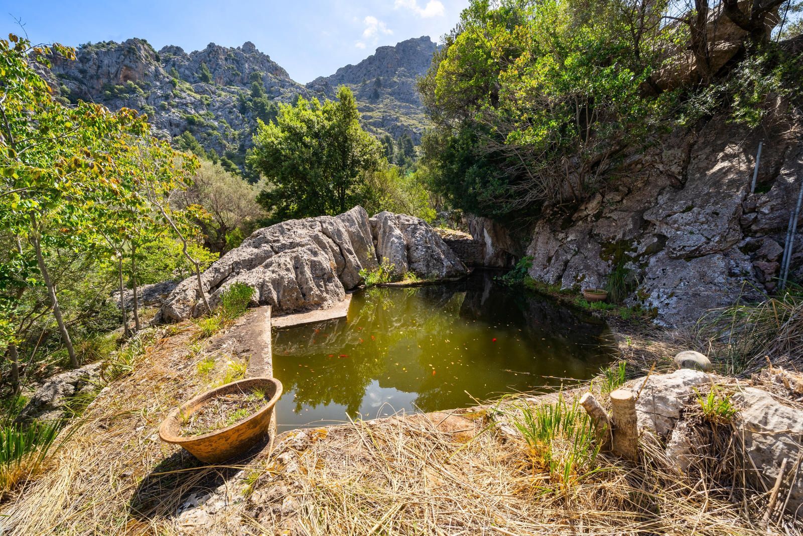 Casas o chalets-Venta-Escorca-1831457-Foto-19