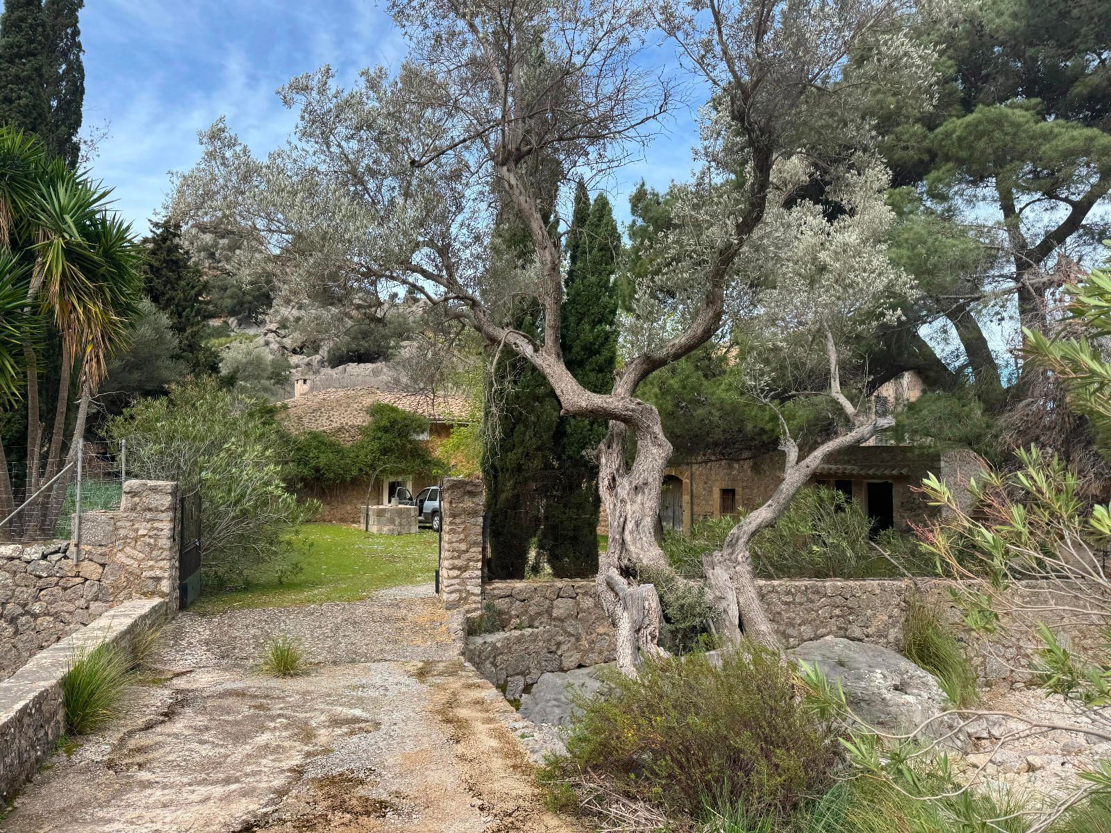 Casas o chalets-Venta-Escorca-1831457-Foto-24