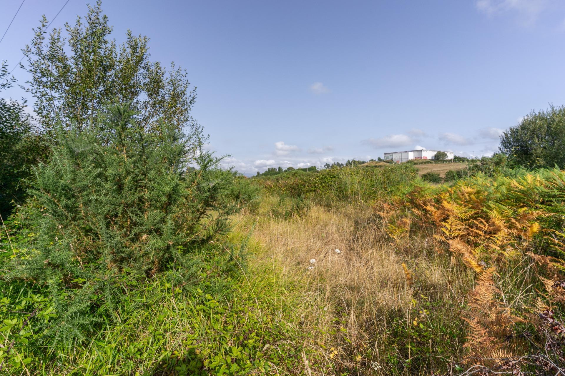Fincas y solares-Venta-Siero-1831737-Foto-3