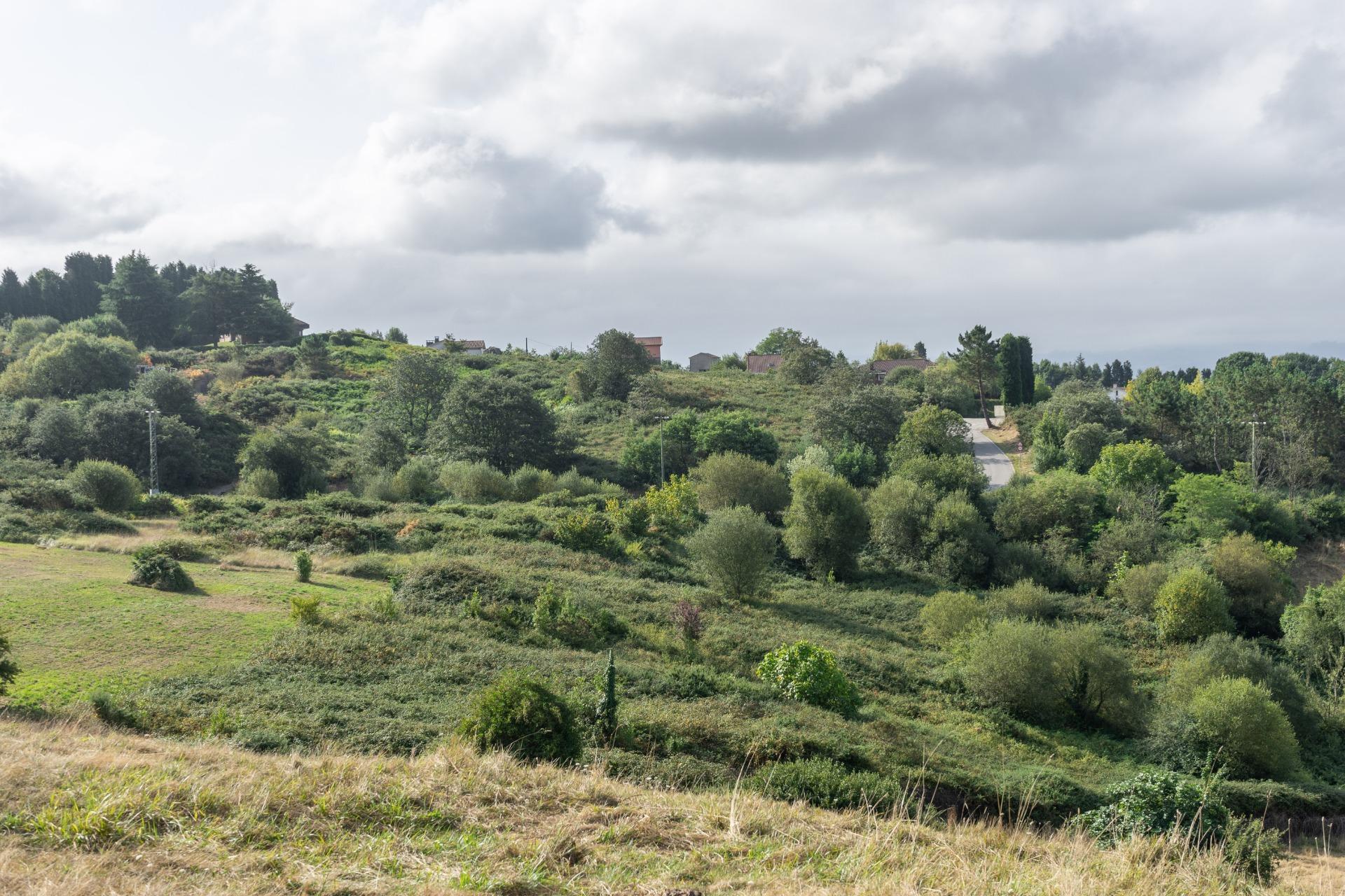 Fincas y solares-Venta-Siero-1831737-Foto-2