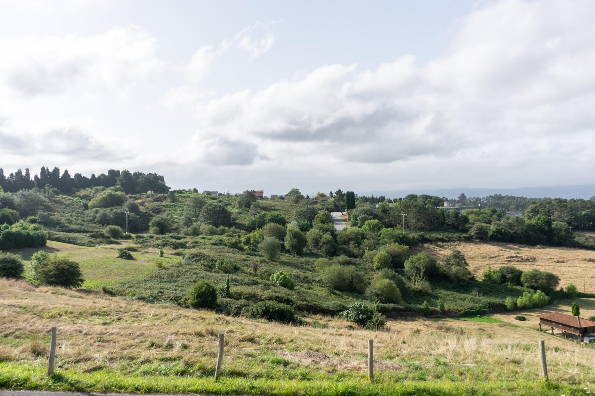 Fincas y solares-Venta-Siero-1831737-Foto-7