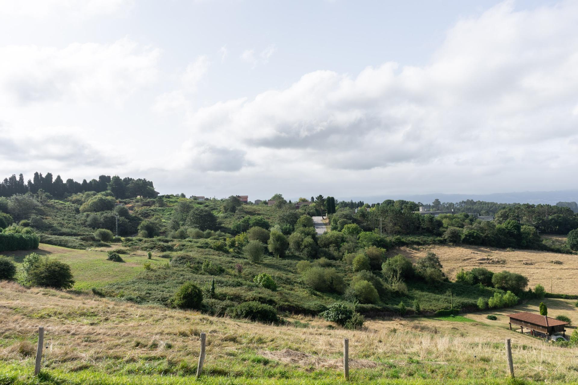 Fincas y solares-Venta-Siero-1831737-Foto-9