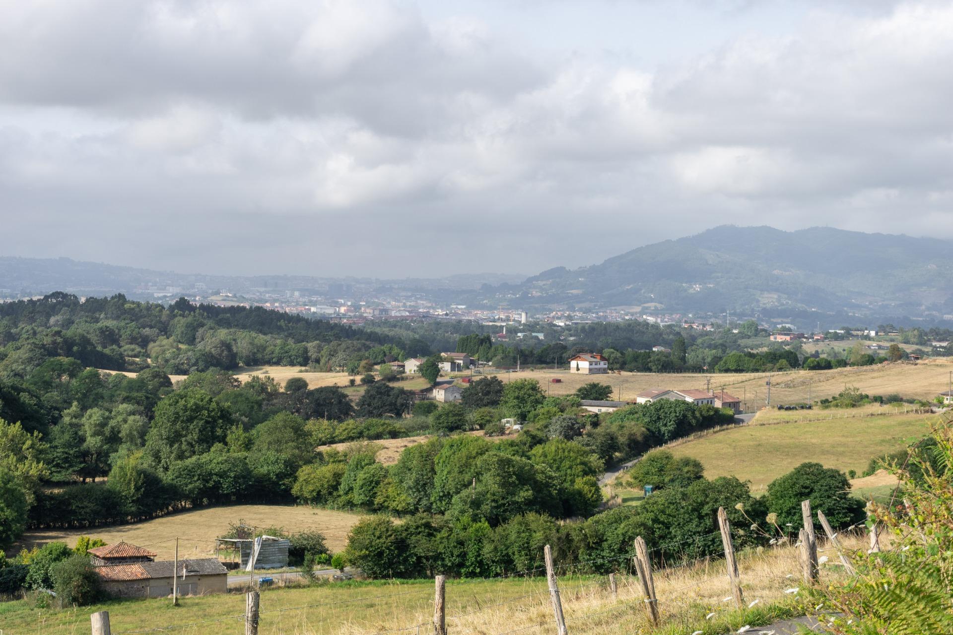 Fincas y solares-Venta-Siero-1831737-Foto-11