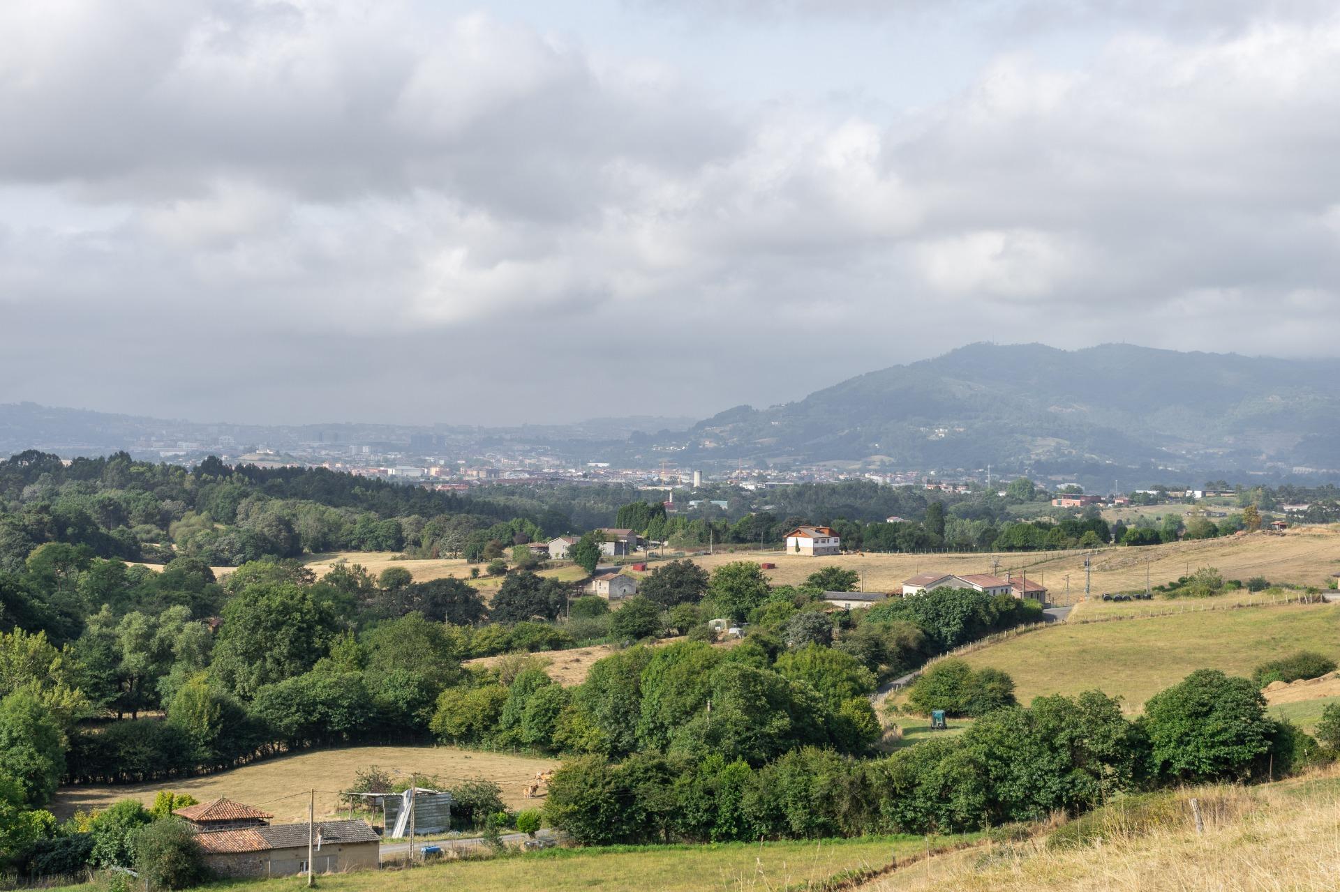 Fincas y solares-Venta-Siero-1831737-Foto-14