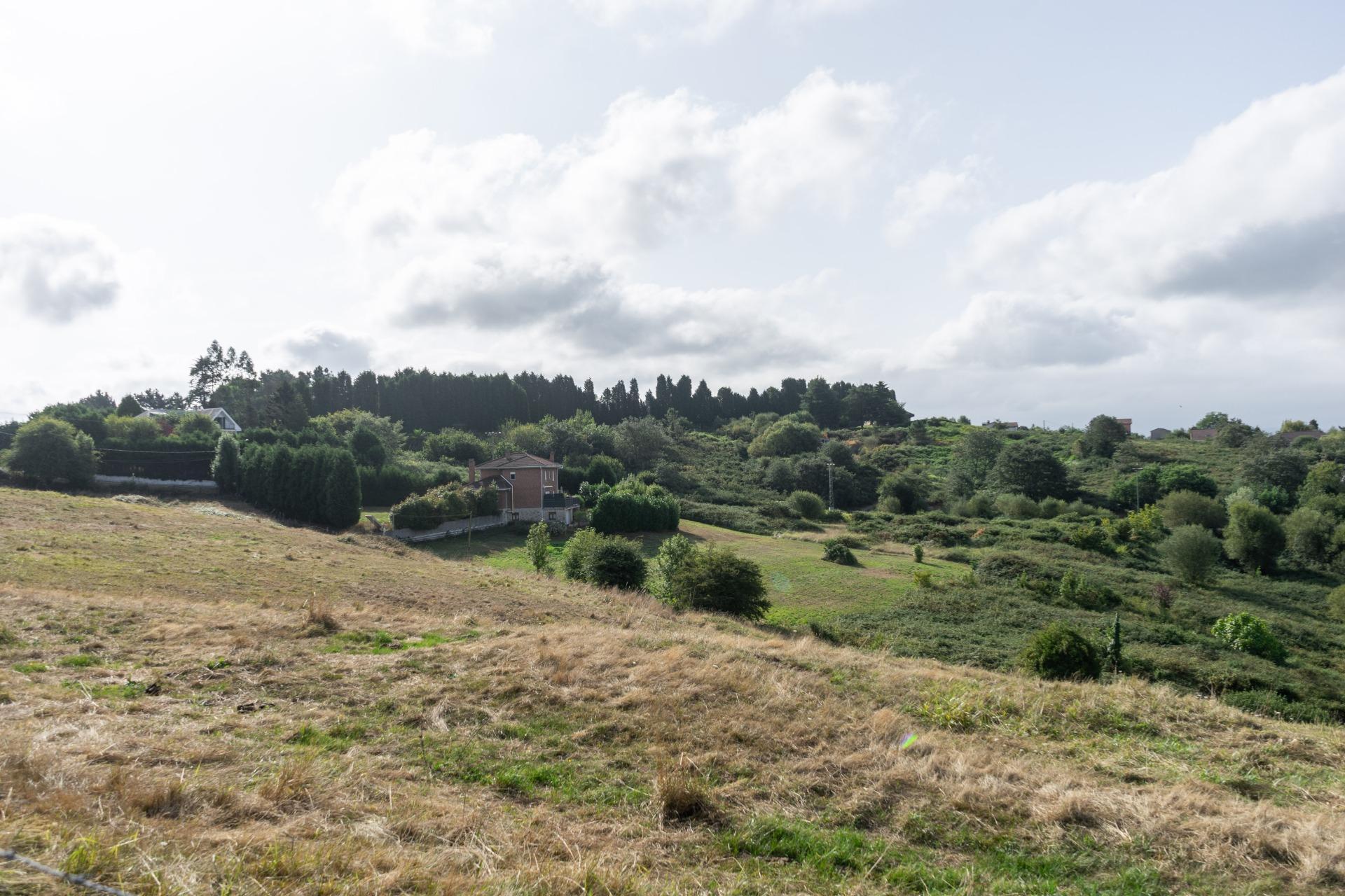 Fincas y solares-Venta-Siero-1831737-Foto-16