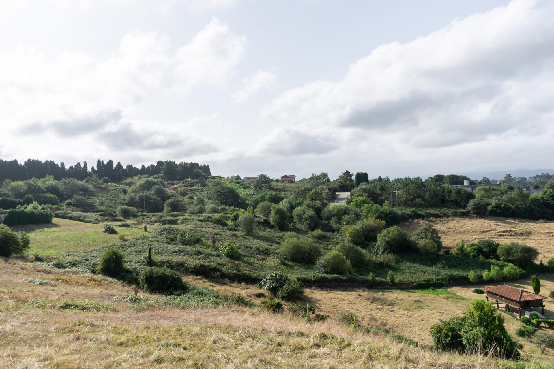 Fincas y solares-Venta-Siero-1831737-Foto-17