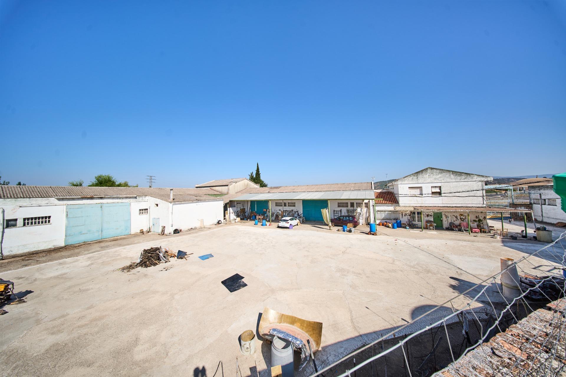 Fincas y solares-Venta-La Carolina-2053473-Foto-3