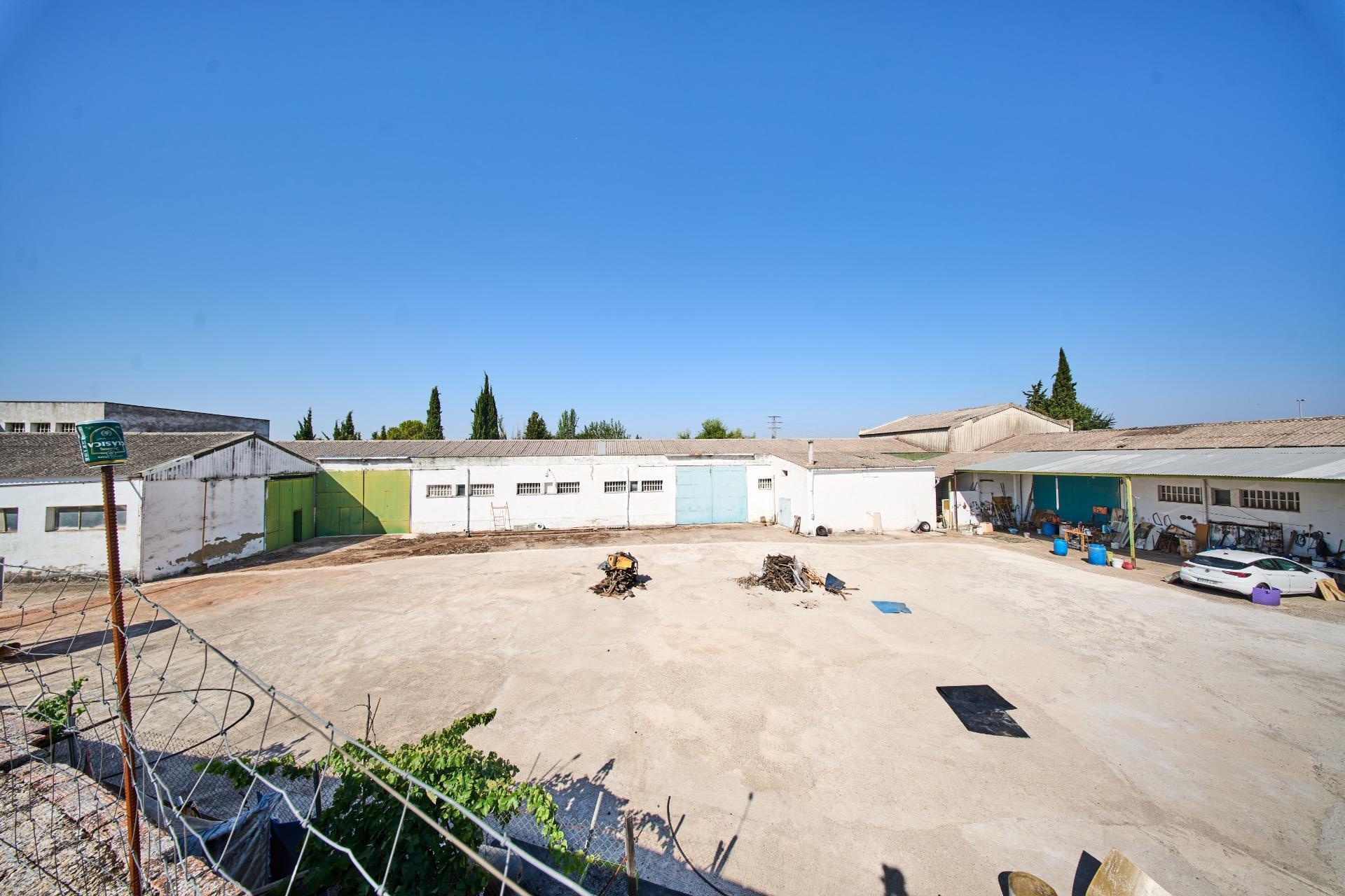 Fincas y solares-Venta-La Carolina-2053473-Foto-2