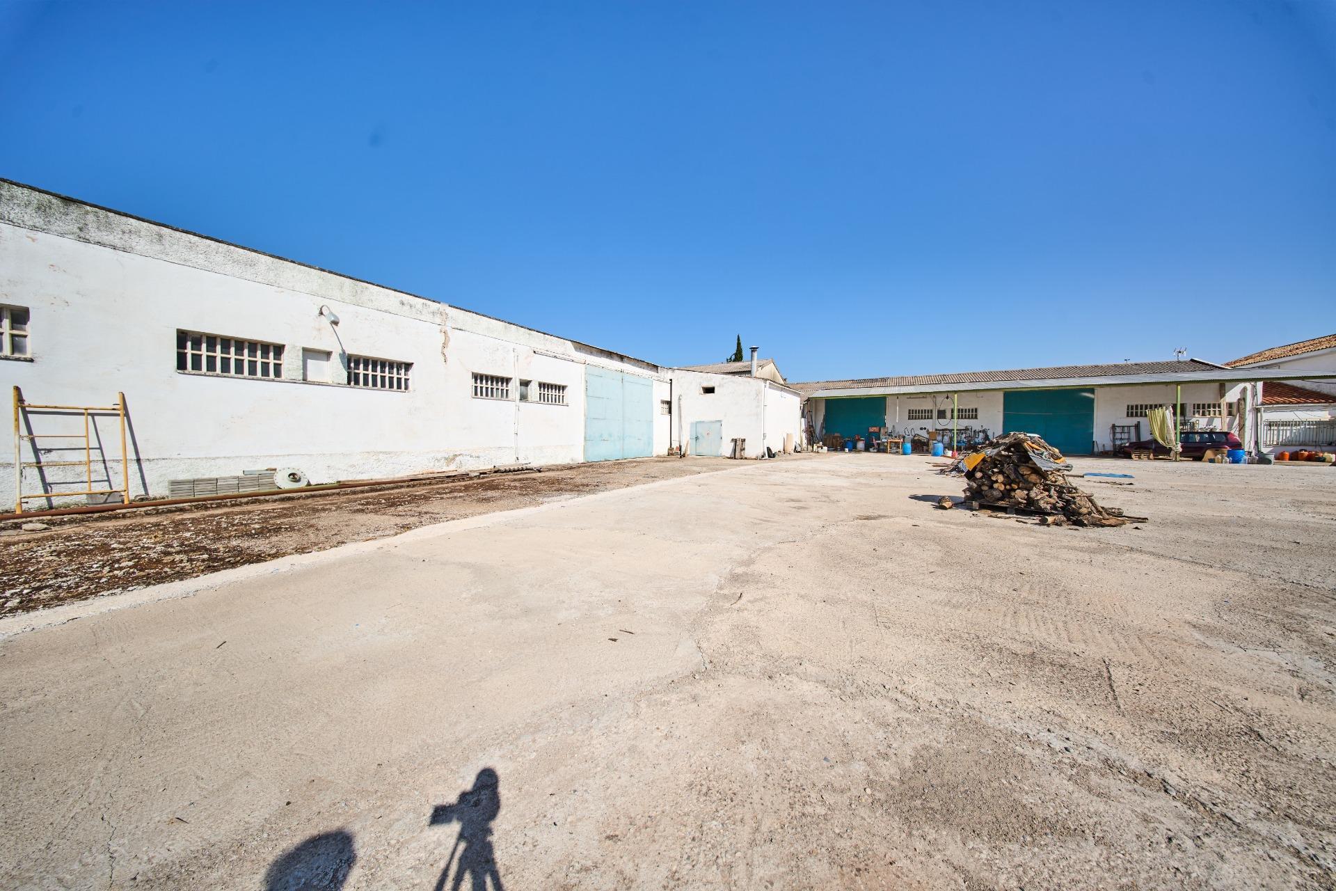 Fincas y solares-Venta-La Carolina-2053473-Foto-5