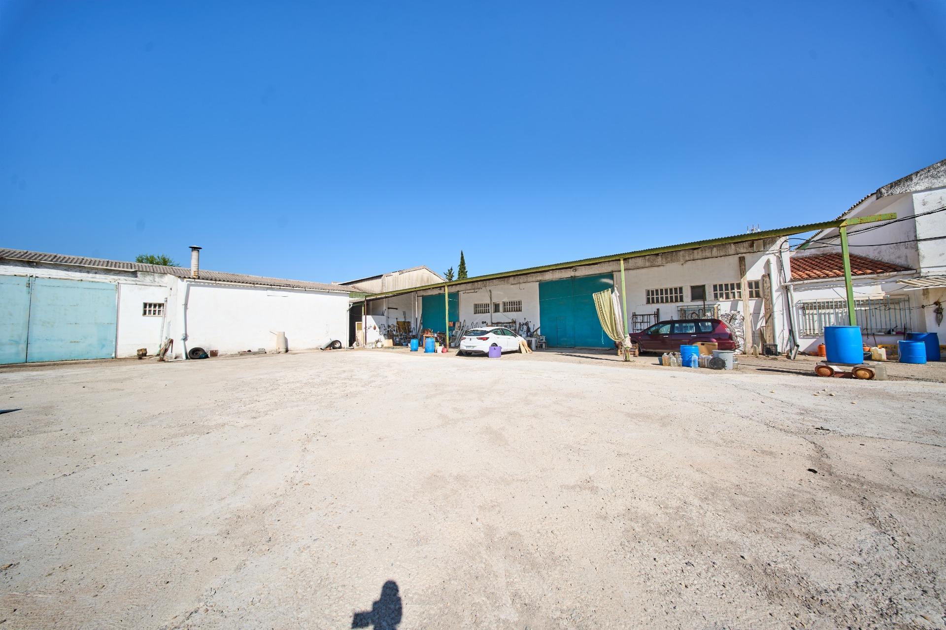 Fincas y solares-Venta-La Carolina-2053473-Foto-6