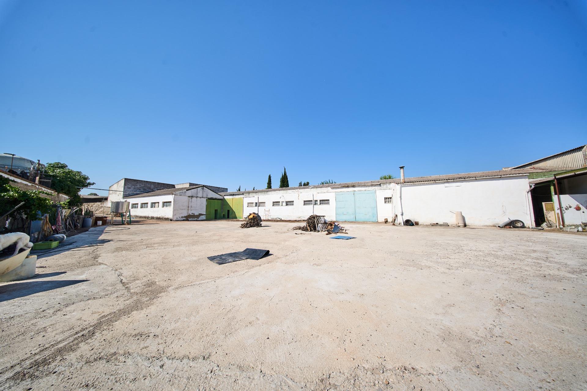 Fincas y solares-Venta-La Carolina-2053473-Foto-7