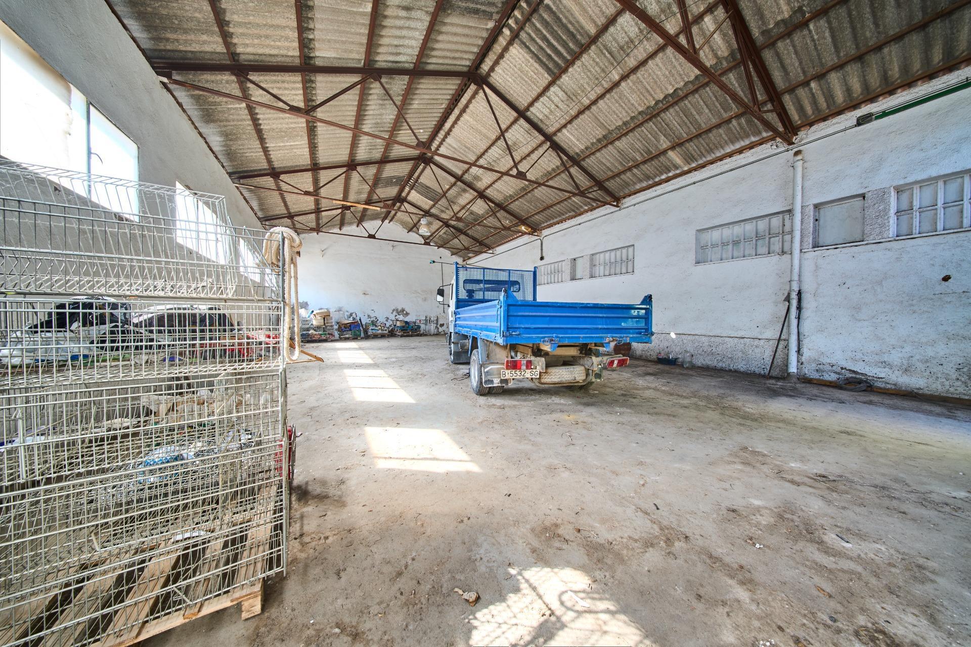 Fincas y solares-Venta-La Carolina-2053473-Foto-24