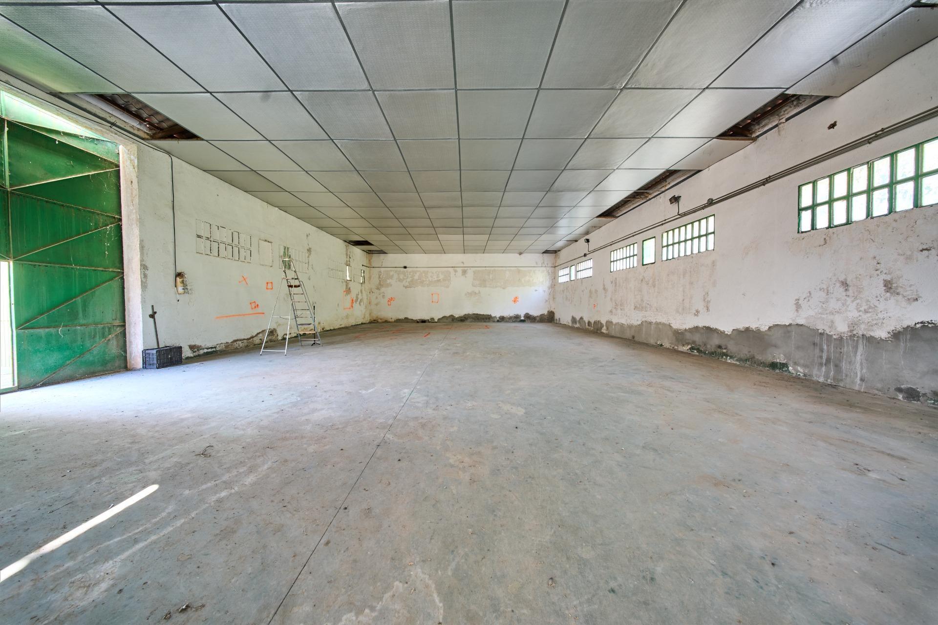 Fincas y solares-Venta-La Carolina-2053473-Foto-22