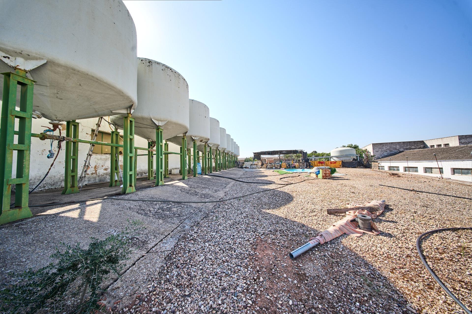 Fincas y solares-Venta-La Carolina-2053473-Foto-30