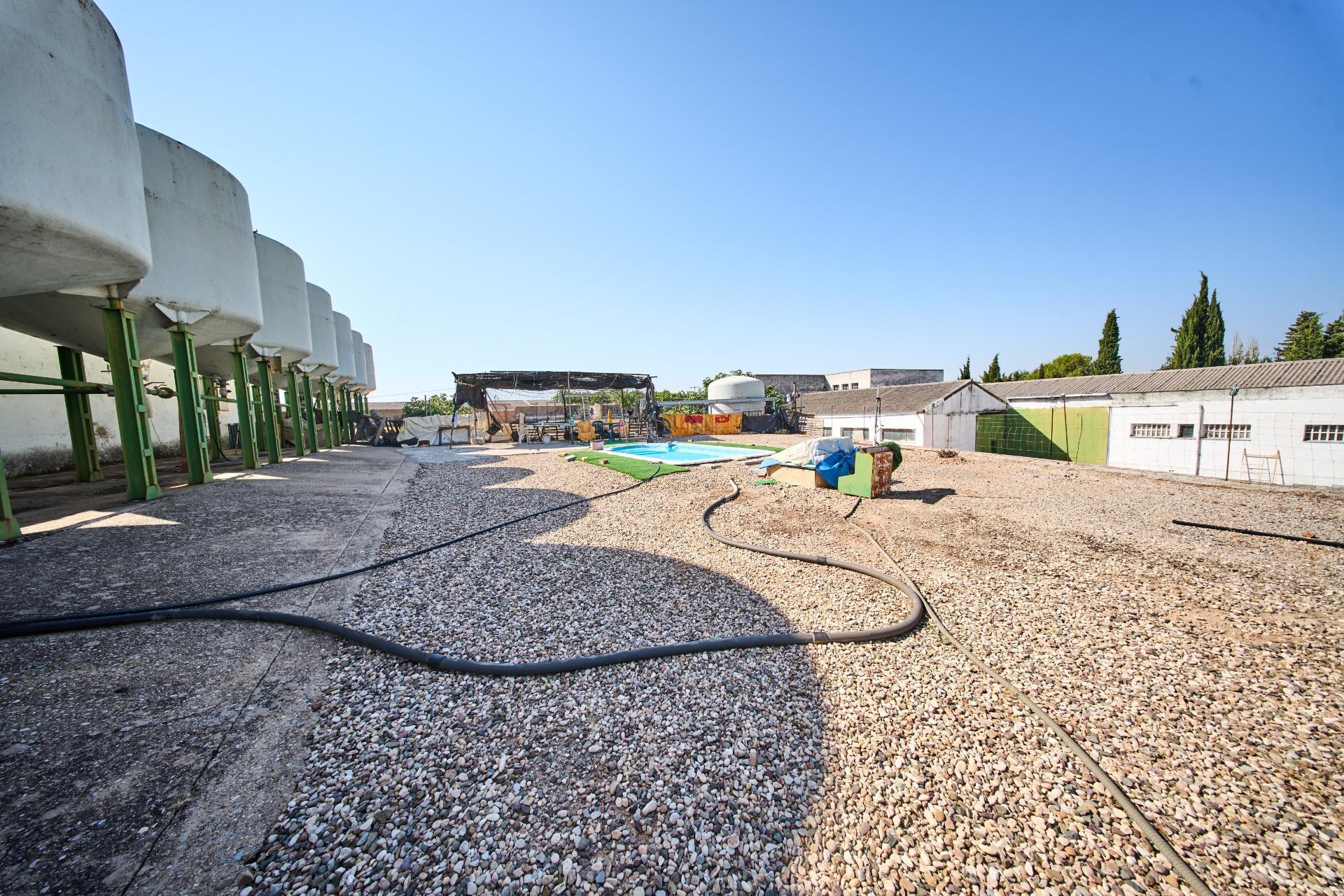 Fincas y solares-Venta-La Carolina-2053473-Foto-32