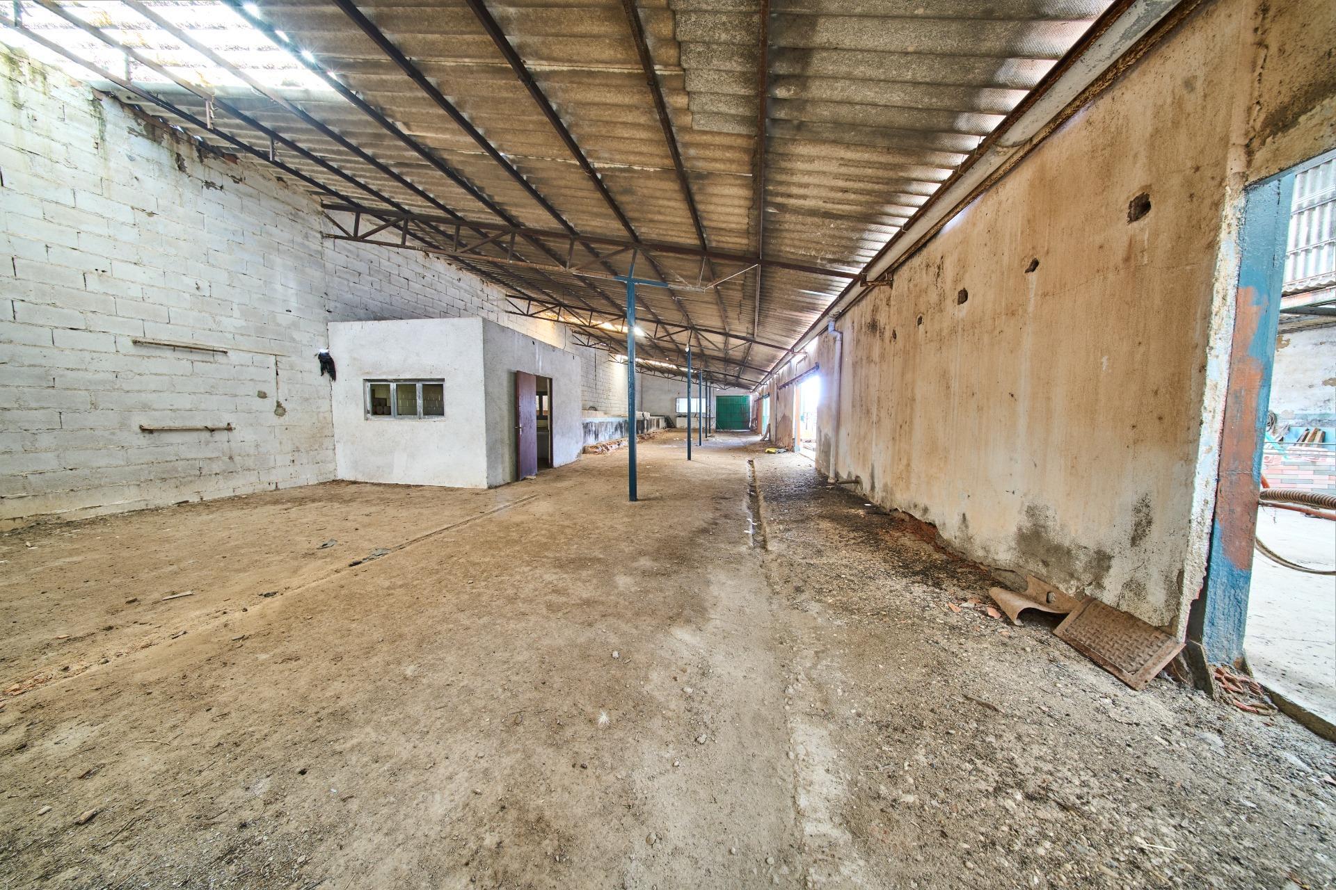 Fincas y solares-Venta-La Carolina-2053473-Foto-34