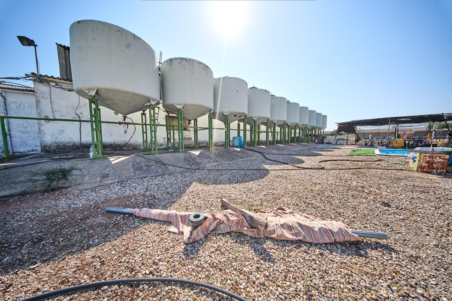 Fincas y solares-Venta-La Carolina-2053473-Foto-33