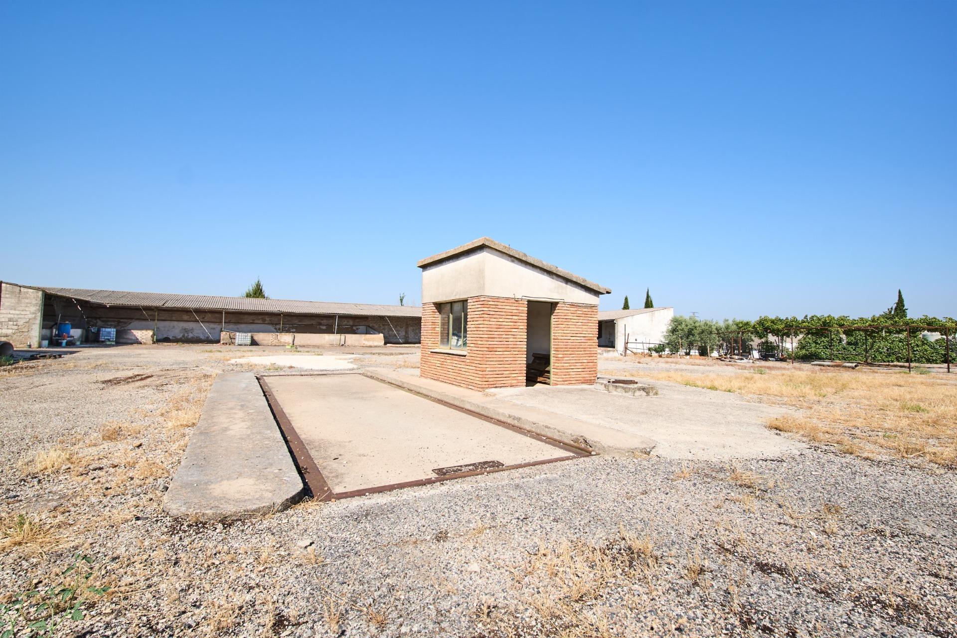 Fincas y solares-Venta-La Carolina-2053473-Foto-39