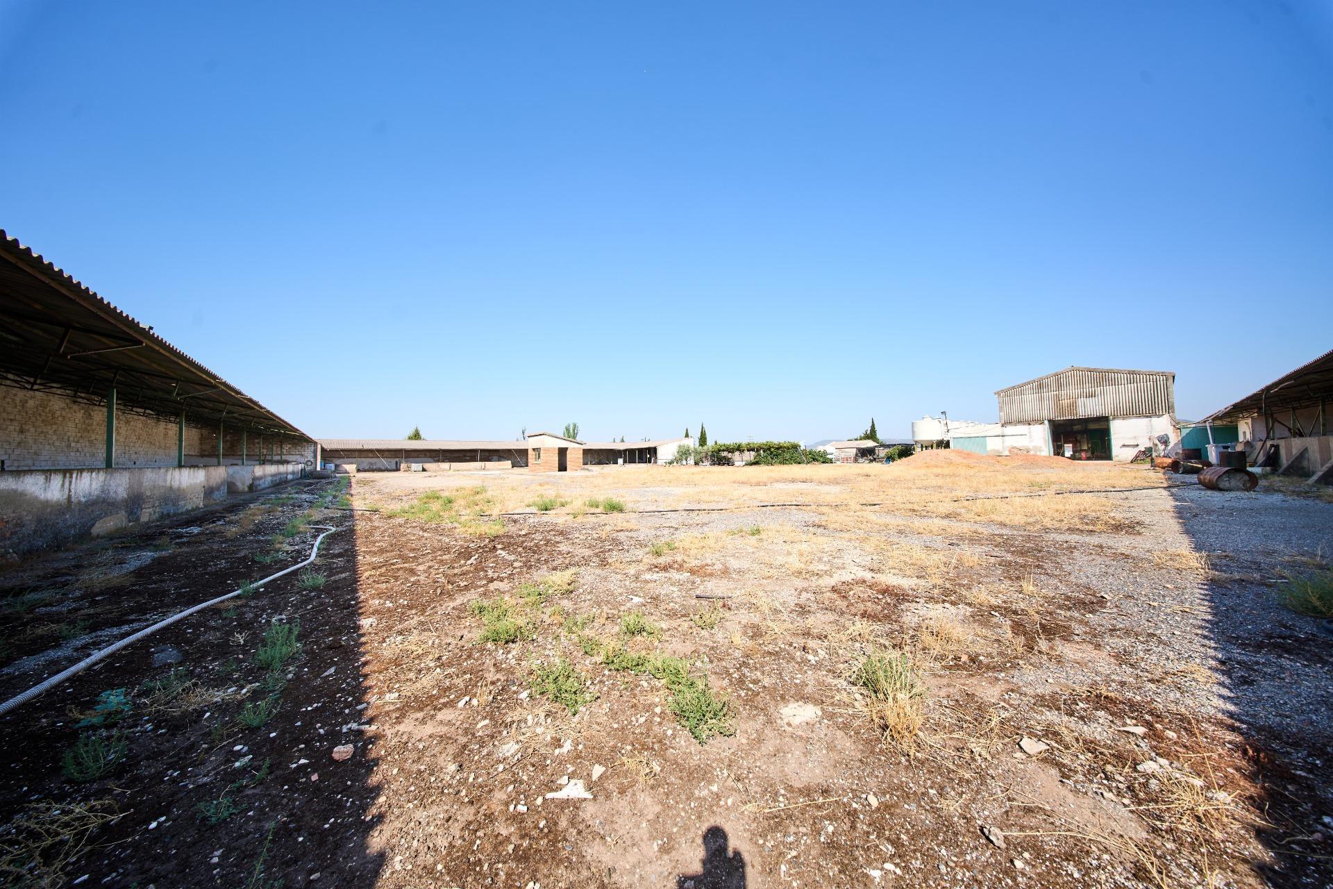 Fincas y solares-Venta-La Carolina-2053473-Foto-38