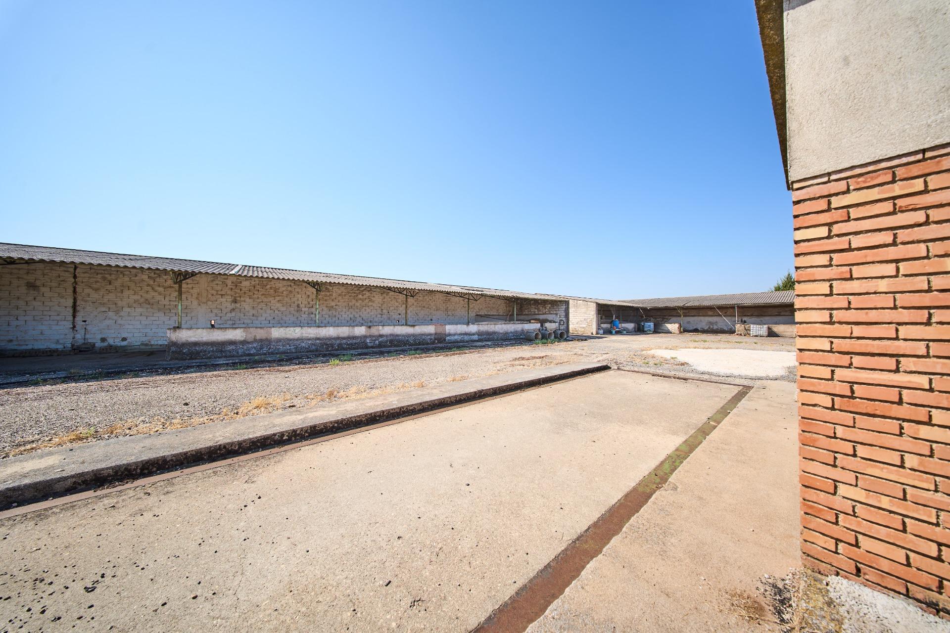 Fincas y solares-Venta-La Carolina-2053473-Foto-40