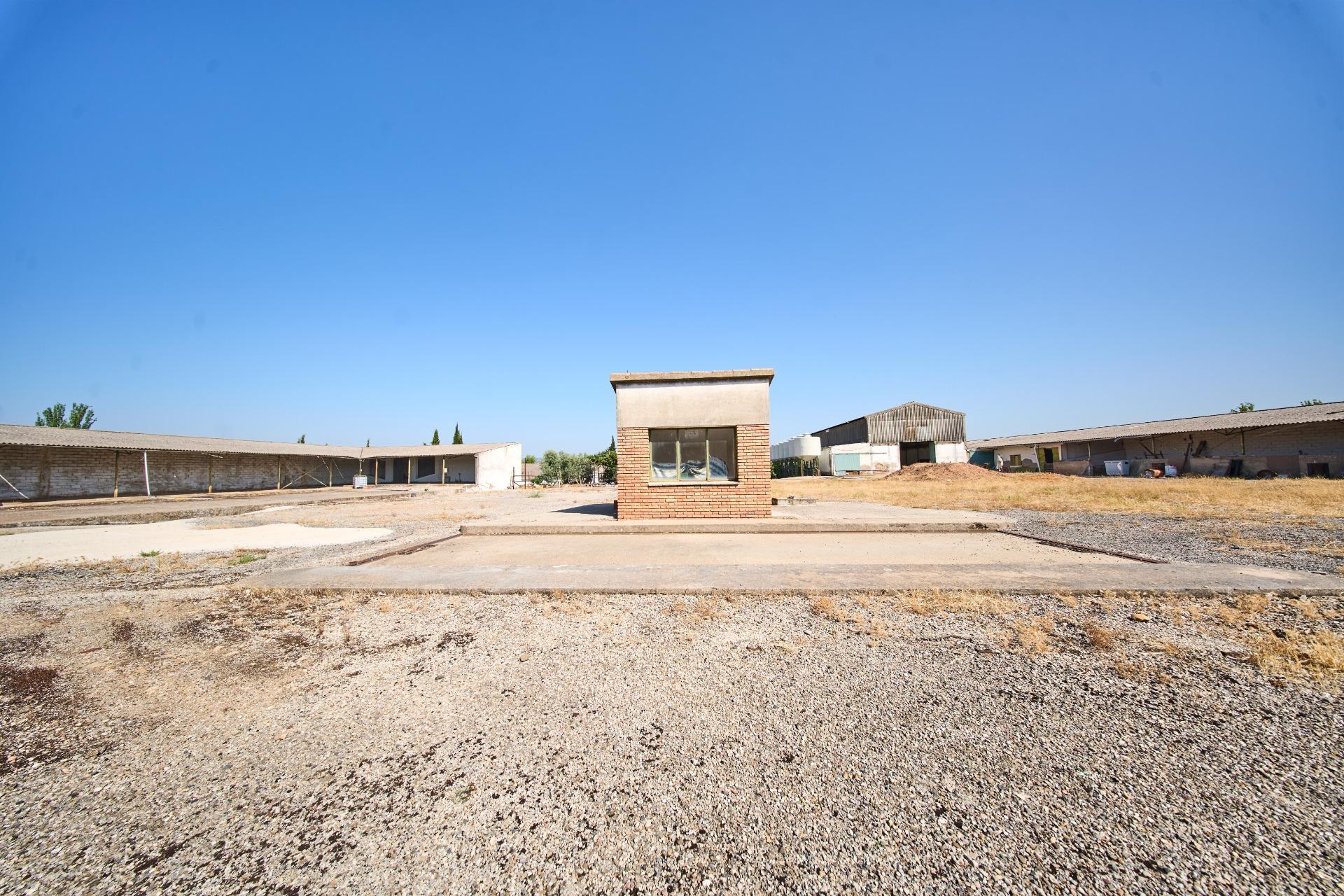 Fincas y solares-Venta-La Carolina-2053473-Foto-41