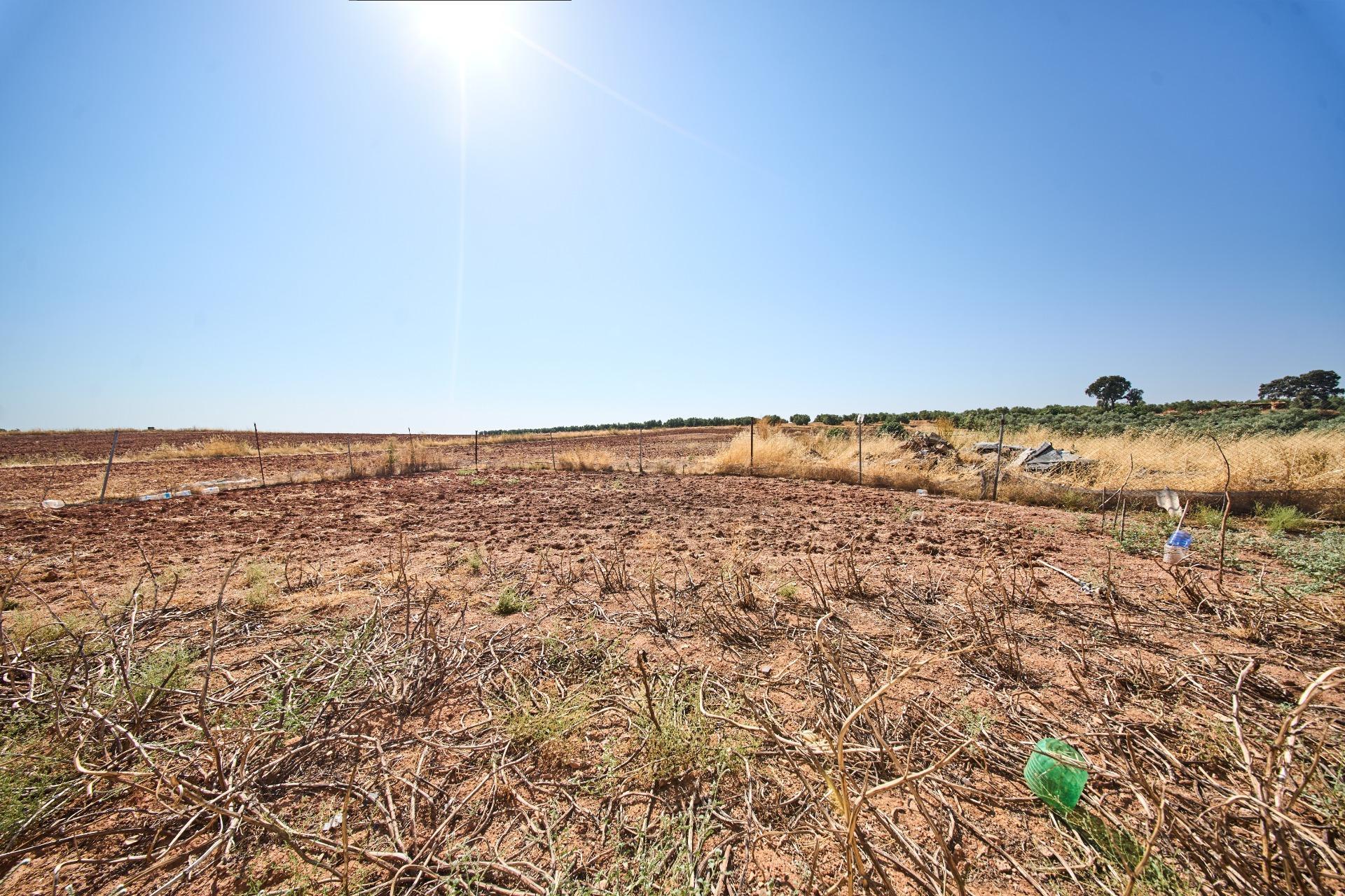 Fincas y solares-Venta-La Carolina-2053473-Foto-45