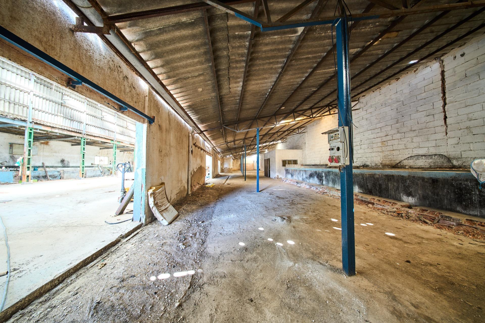 Fincas y solares-Venta-La Carolina-2053473-Foto-50