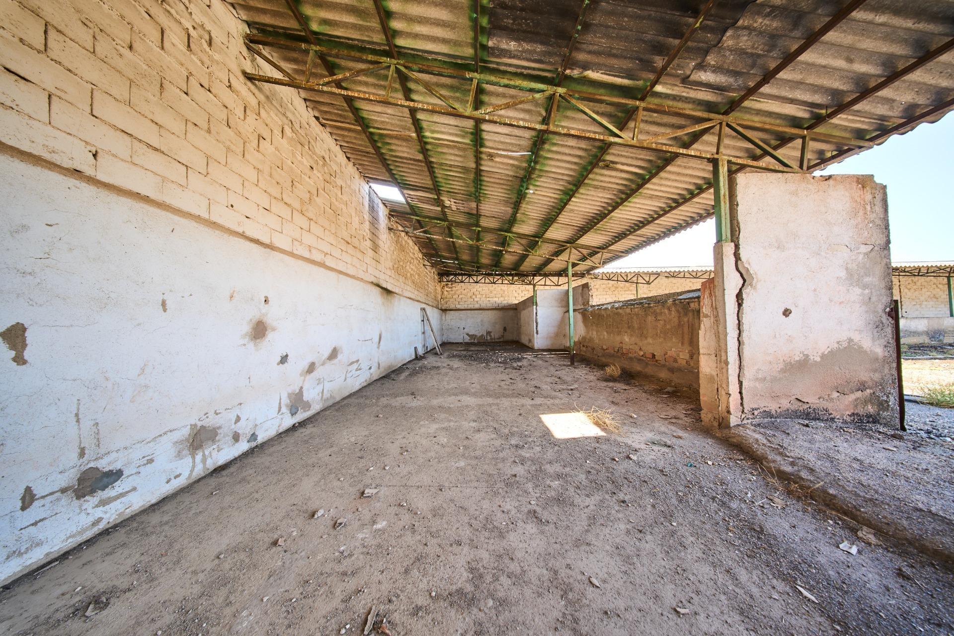 Fincas y solares-Venta-La Carolina-2053473-Foto-54