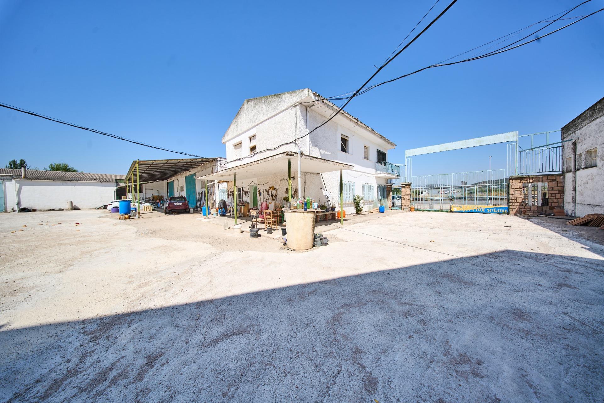 Fincas y solares-Venta-La Carolina-2053473-Foto-60