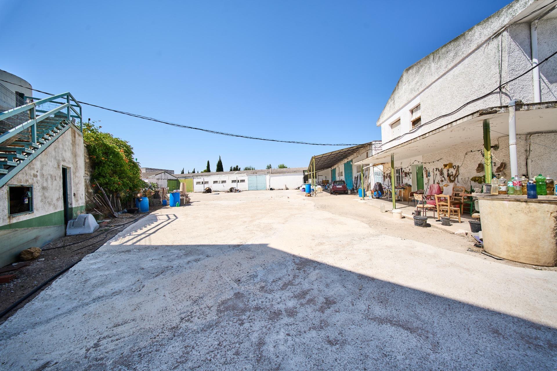 Fincas y solares-Venta-La Carolina-2053473-Foto-59