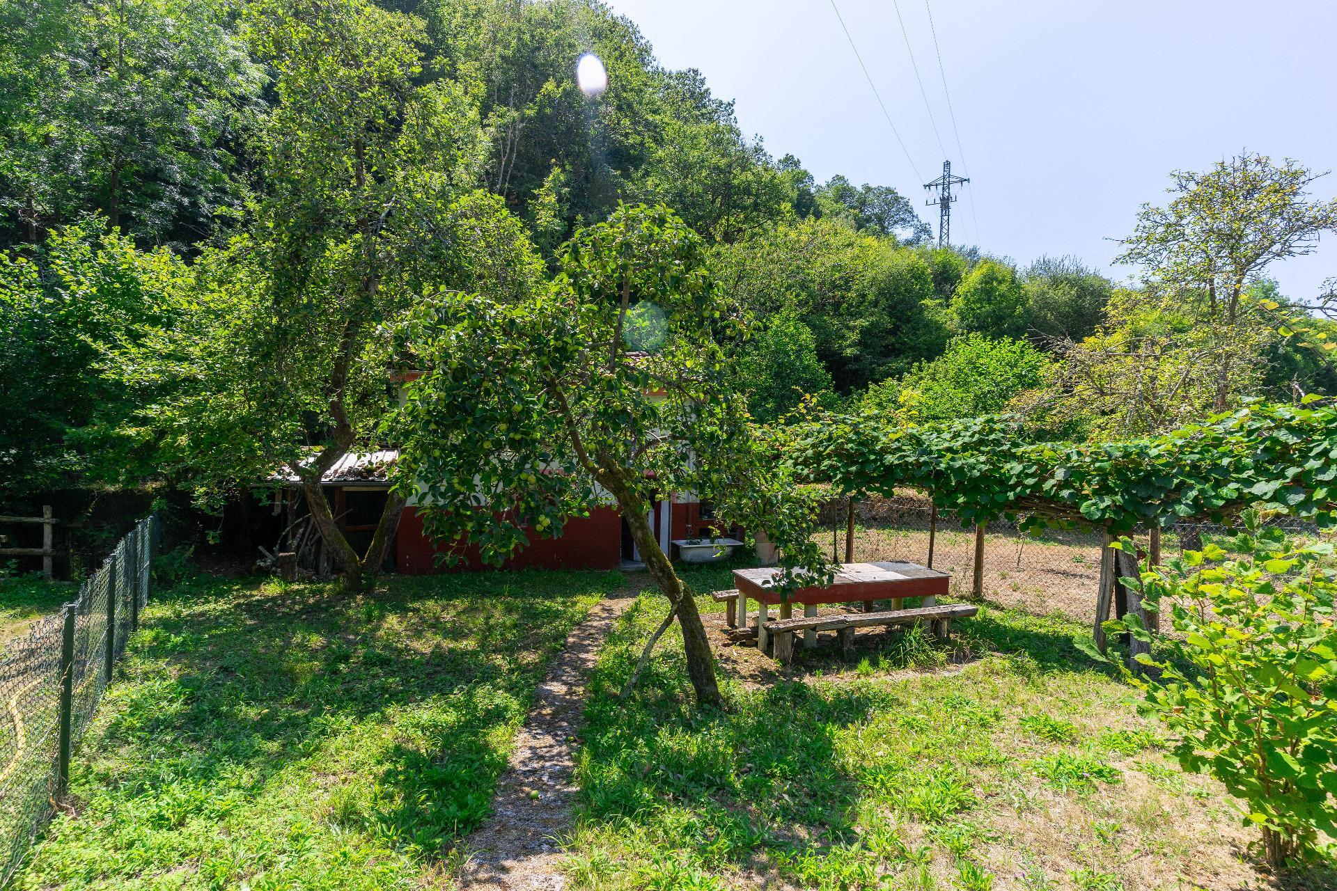 Casas o chalets-Venta-Mieres-1831752-Foto-5