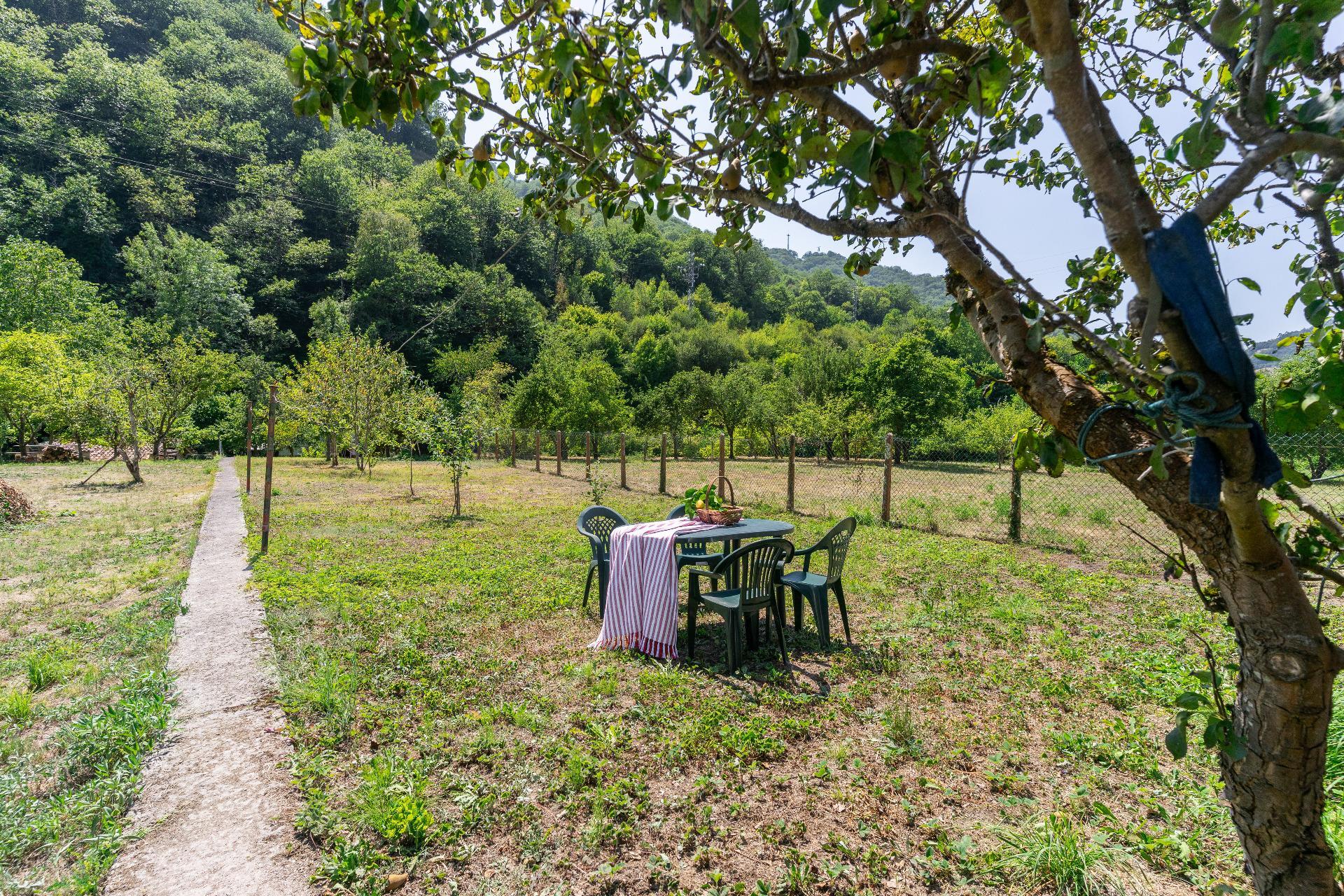 Casas o chalets-Venta-Mieres-1831752-Foto-2