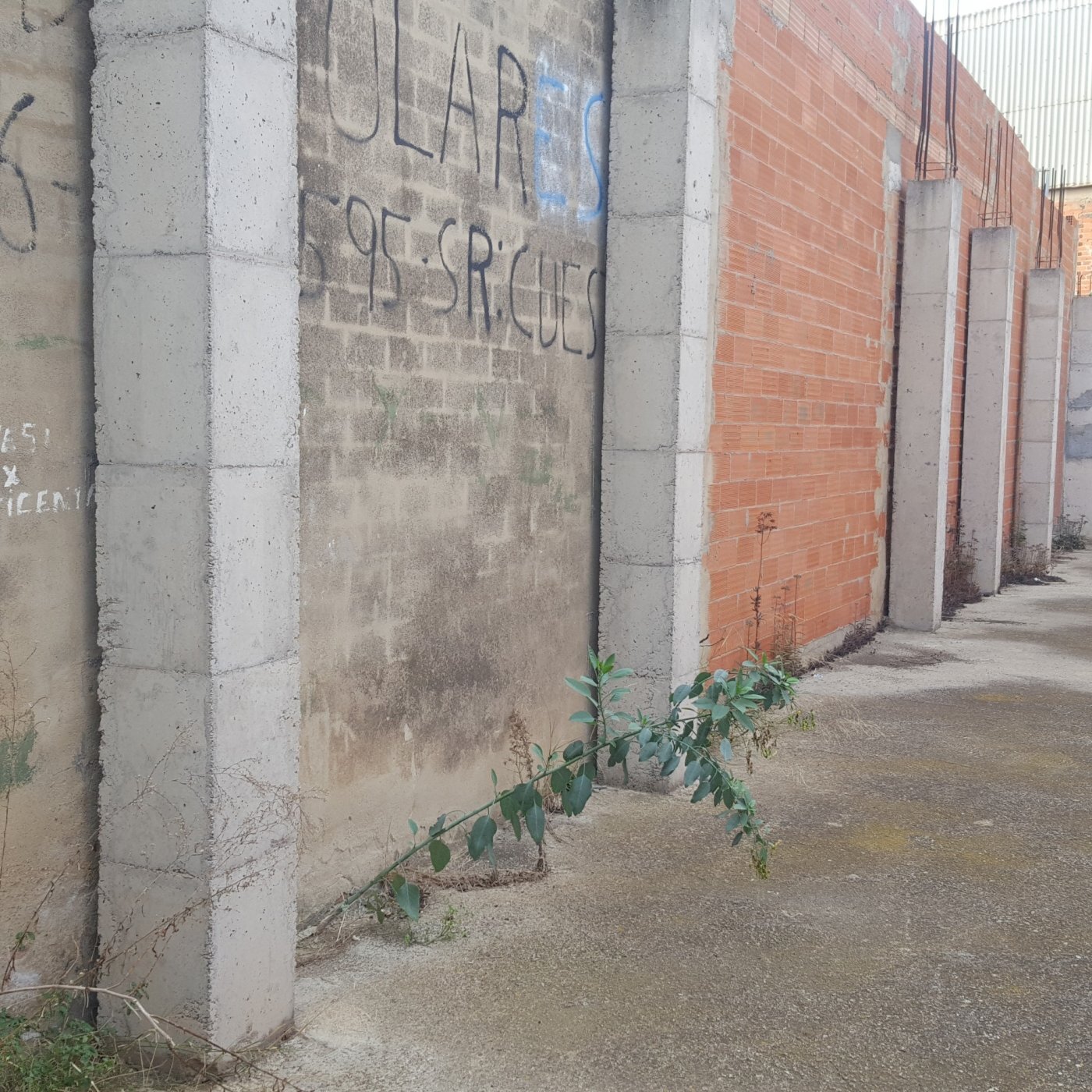 Fincas y solares-Venta-Massamagrell-1430354-Foto-17