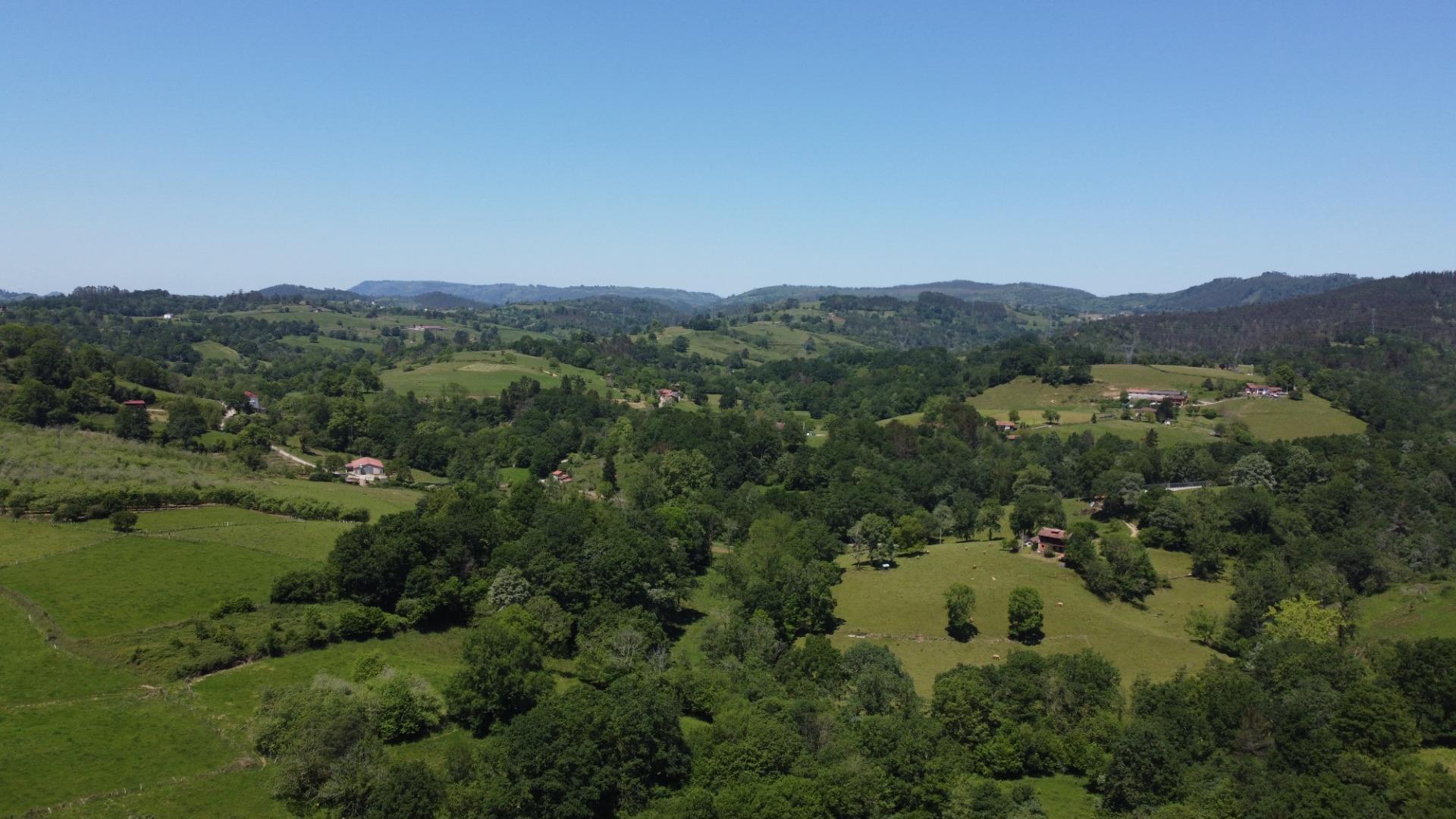 Casas o chalets-Venta-Las Navas del MarquÃ©s-1745689-Foto-56