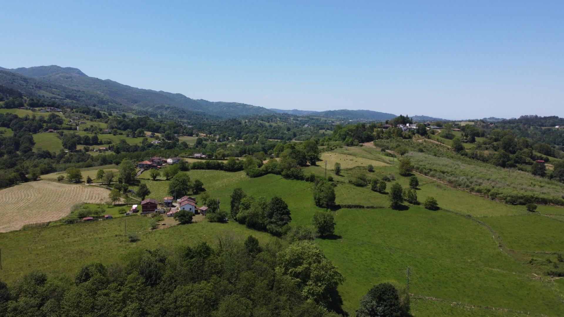 Casas o chalets-Venta-Las Navas del MarquÃ©s-1745689-Foto-71