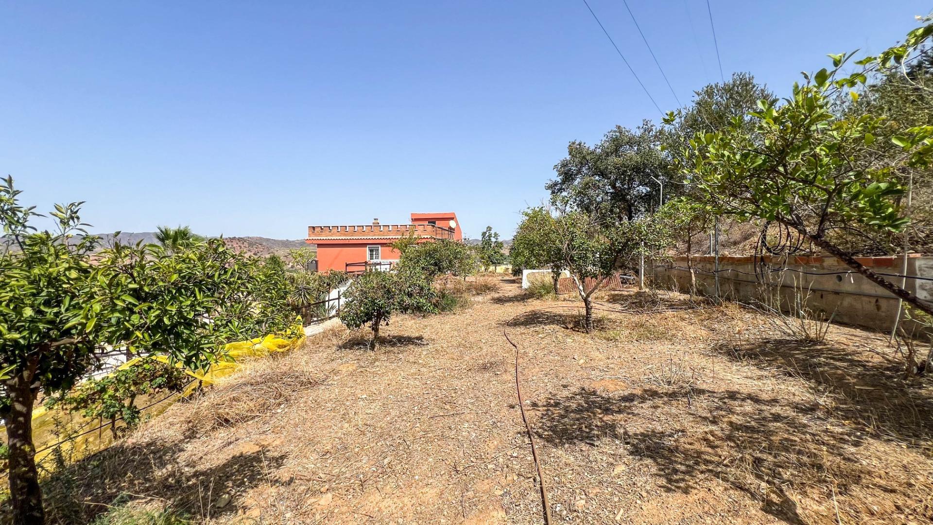 Casas o chalets-Venta-Campanillas-1411465-Foto-29