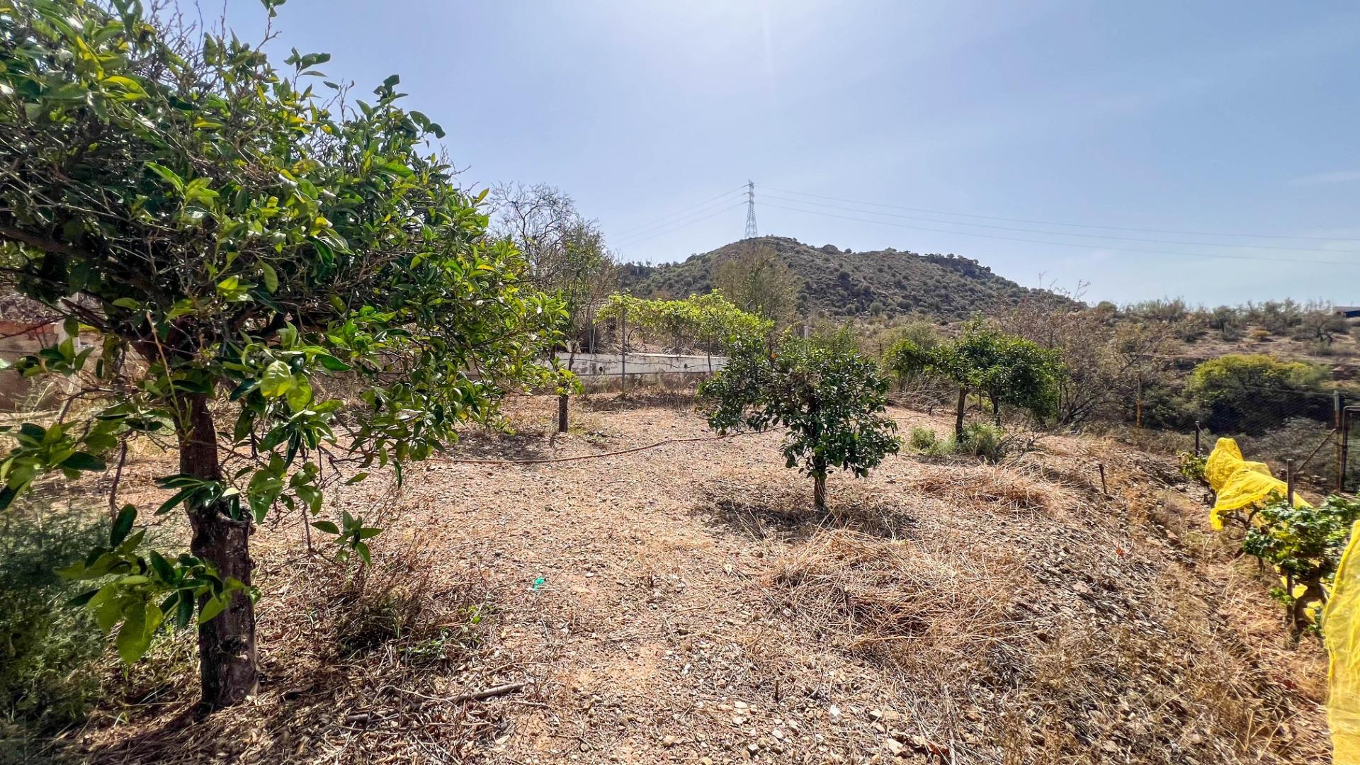 Casas o chalets-Venta-Campanillas-1411465-Foto-44