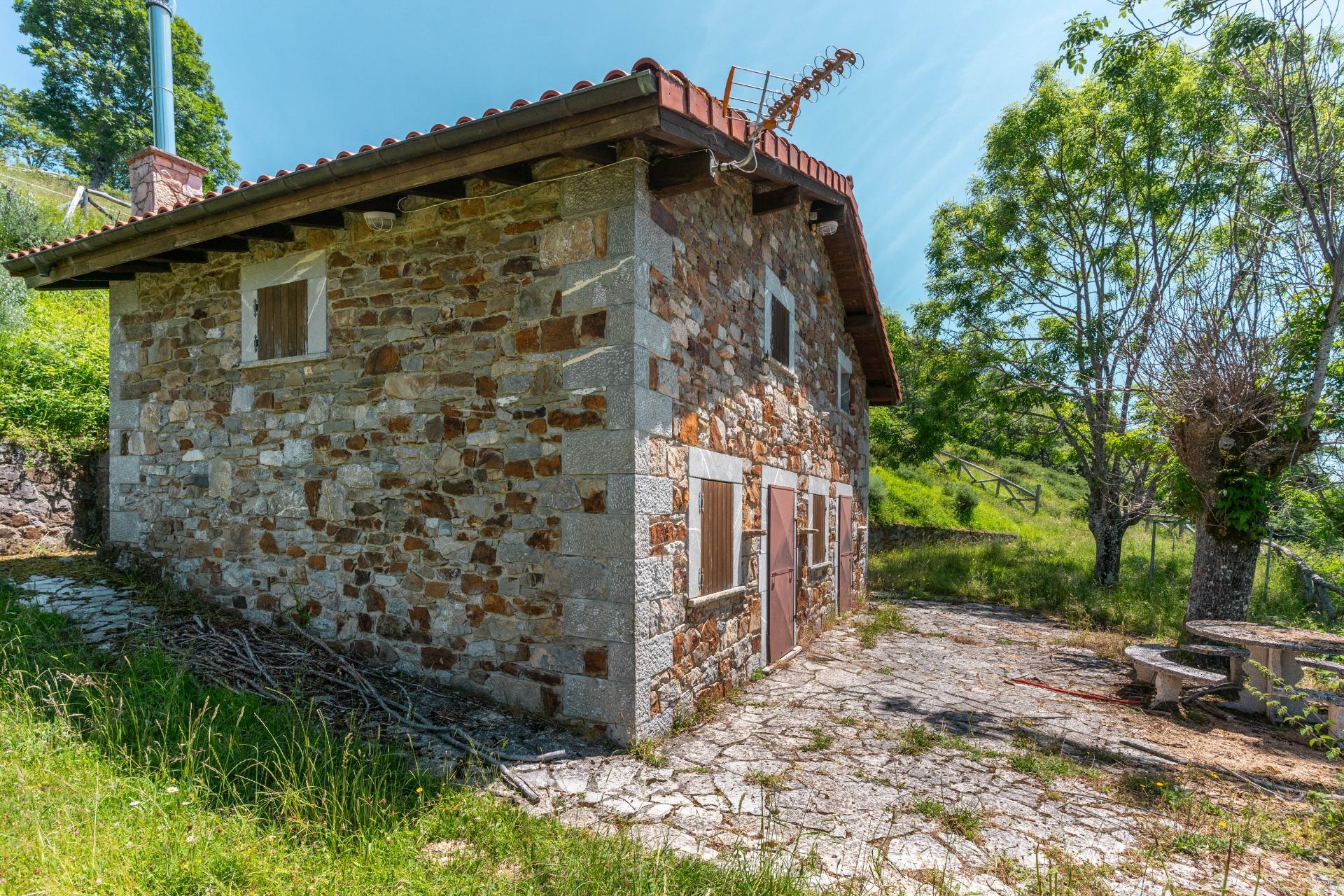 Casas o chalets-Venta-QuirÃ³s-1831999-Foto-2